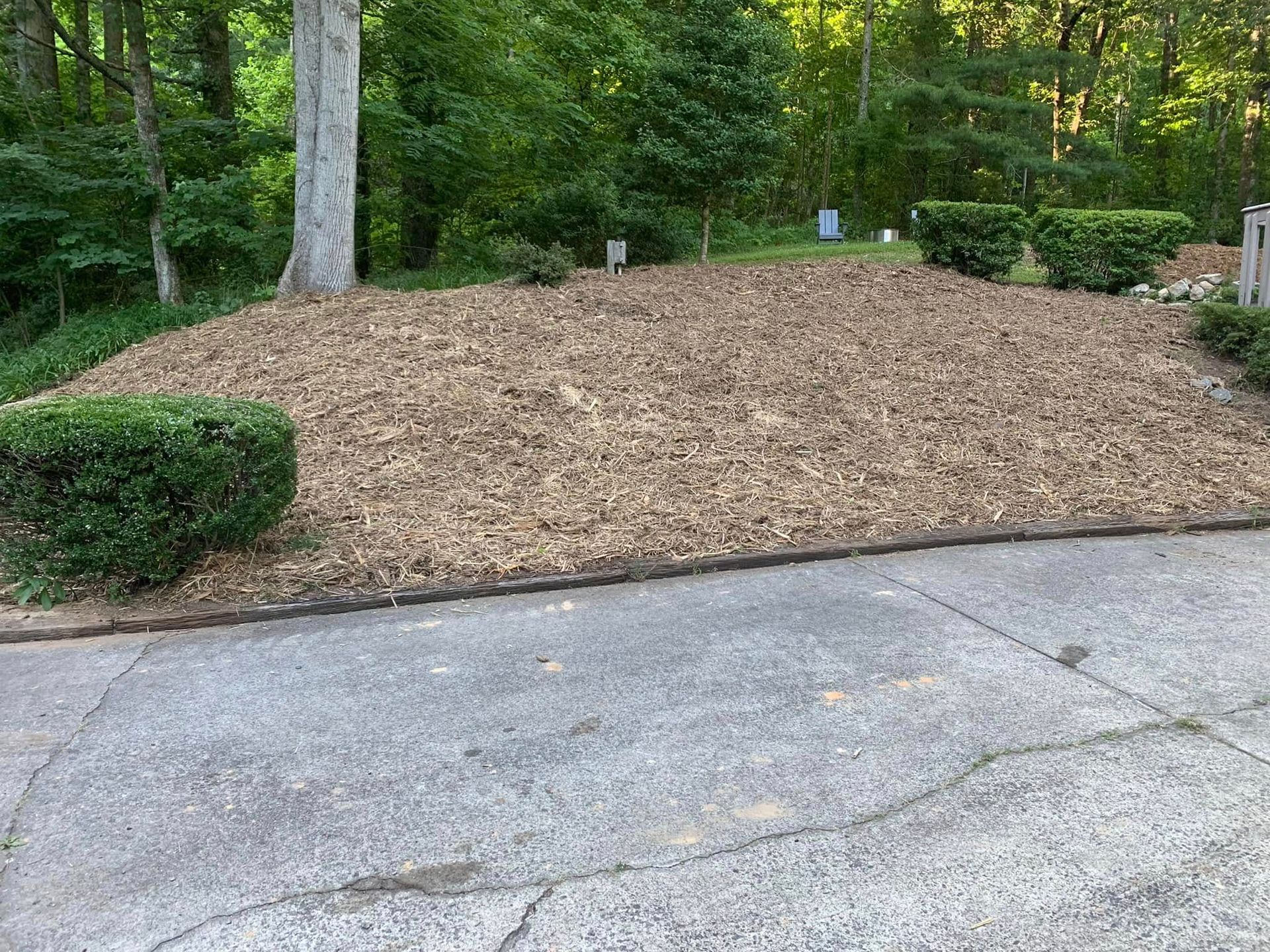 A sloped dirt yard covered in wood mulch sits behind a concrete driveway, bordered by green bushes and trees.