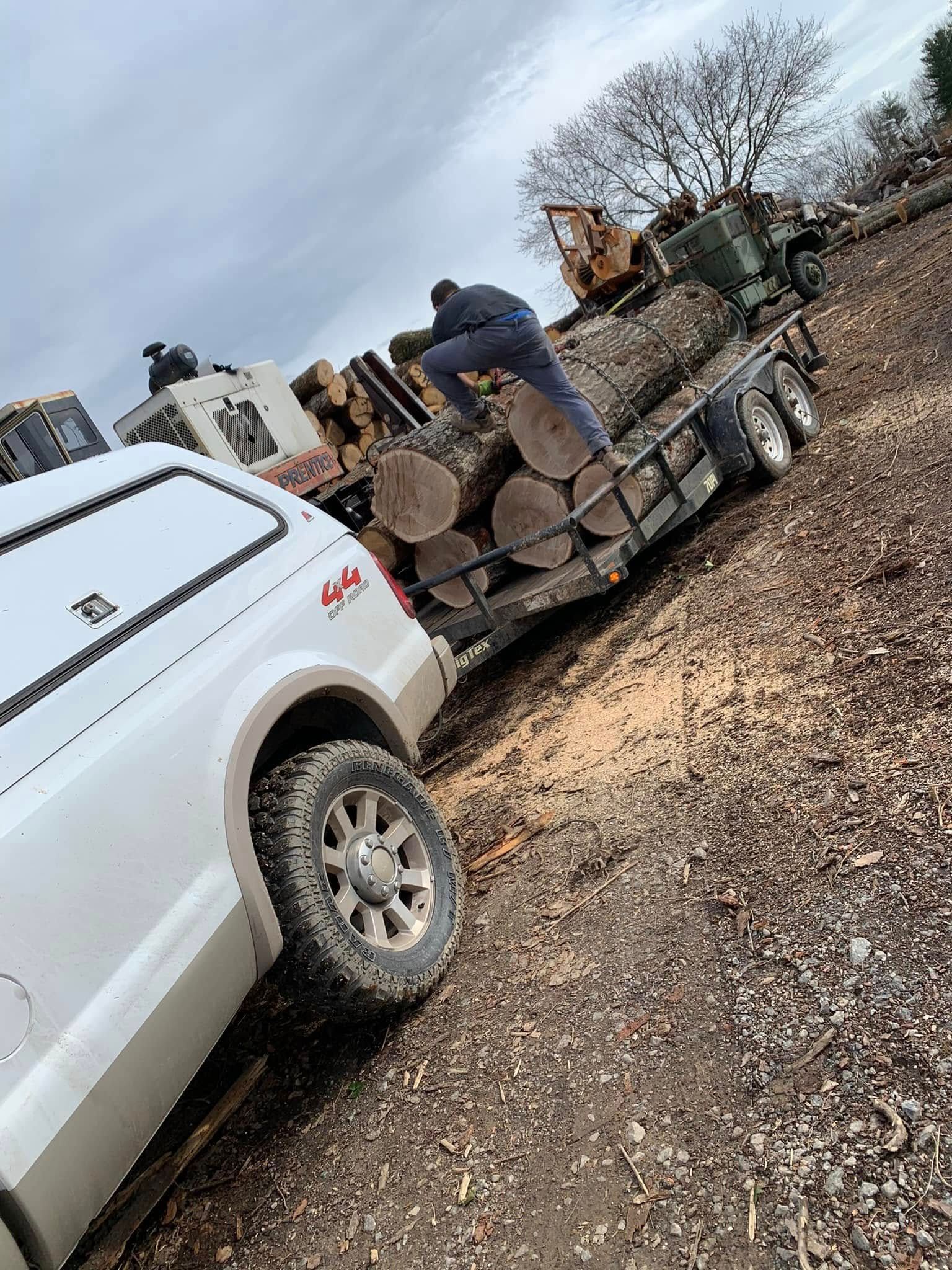 A person climbs onto a trailer loaded with large logs attached to a white pickup truck on a dirt-covered ground.