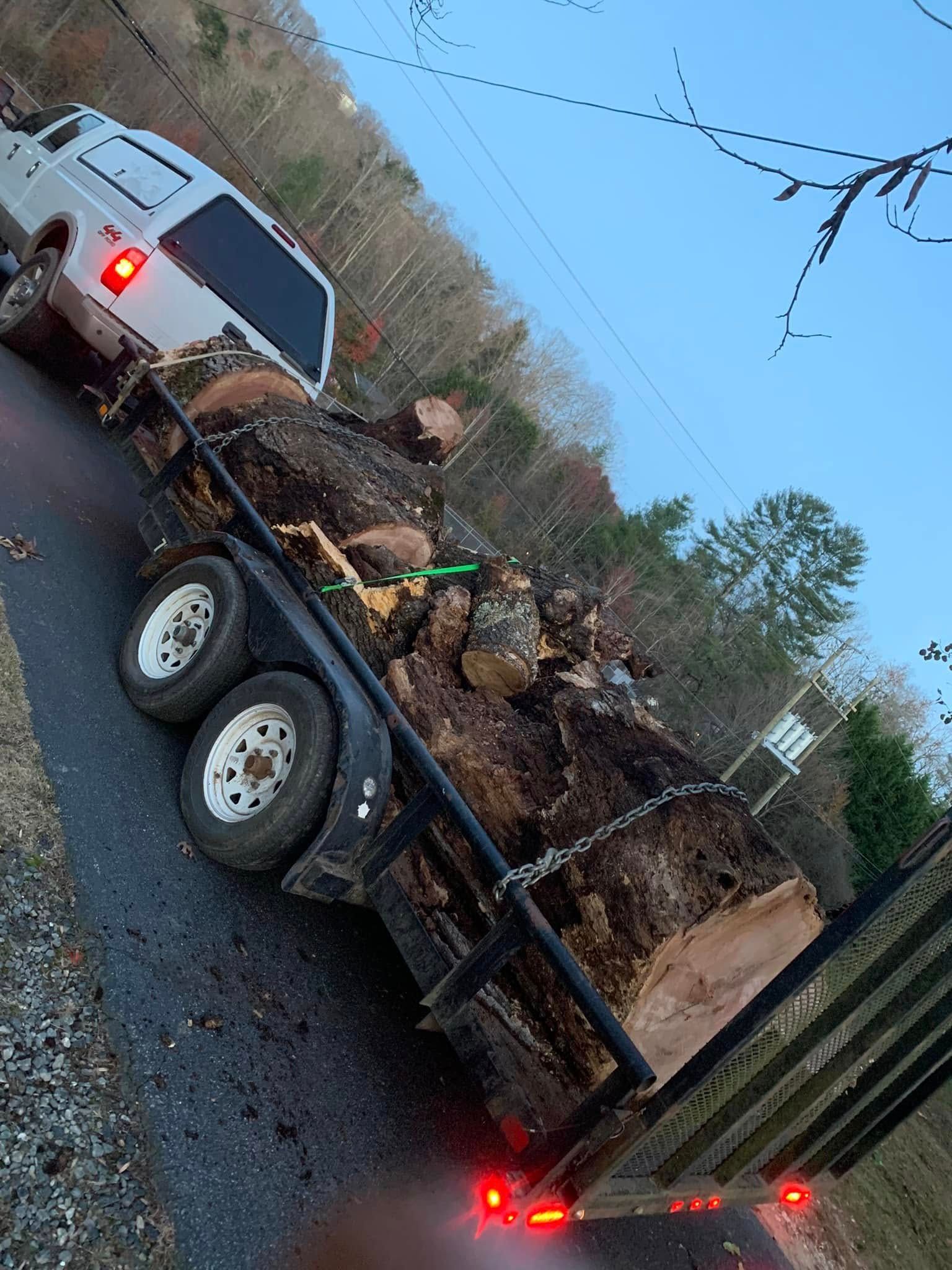 A white pickup truck towing a flatbed trailer filled with large logs and tree debris on a paved road at dusk.