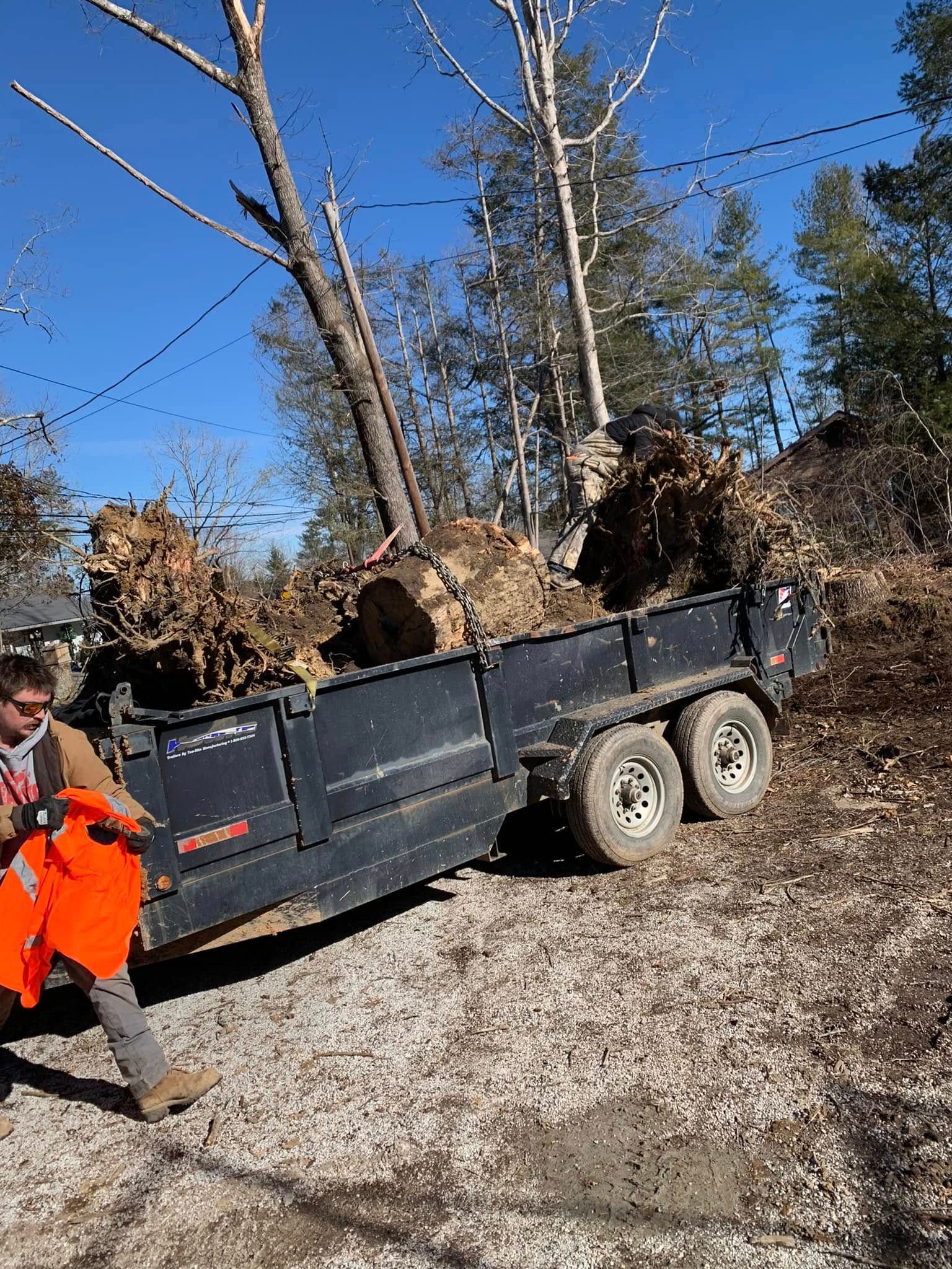 A person in high-visibility gear loads large tree stumps into a black utility trailer on a gravel lot under a blue sky.