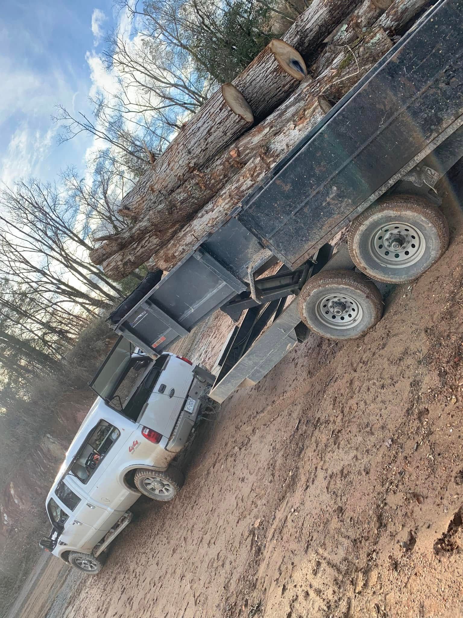 A white pickup truck pulling a trailer loaded with large tree logs on a dirt path in a wooded area.
