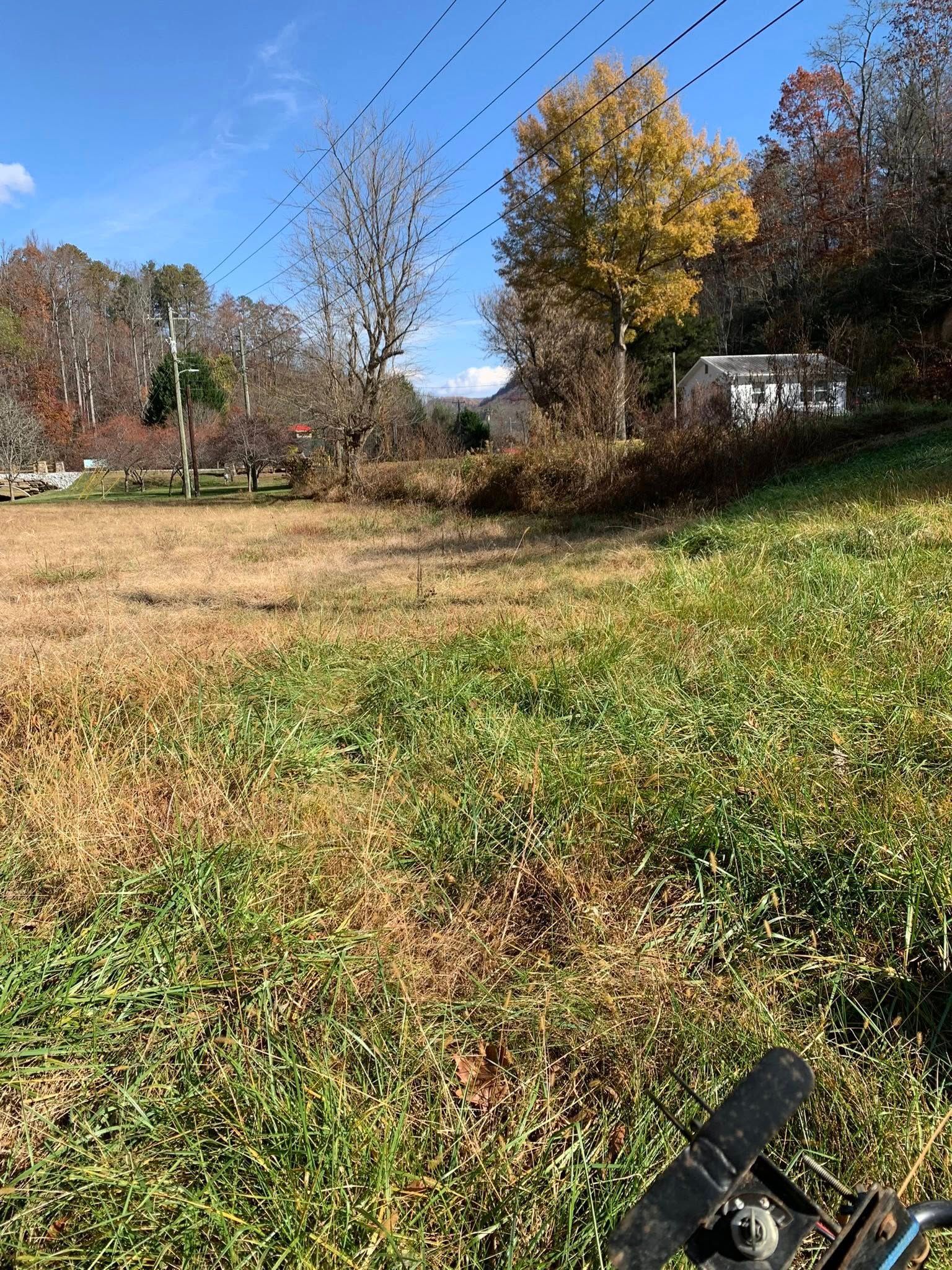 A grassy, sunlit field during autumn, with trees displaying fall colors in the background under a clear blue sky.