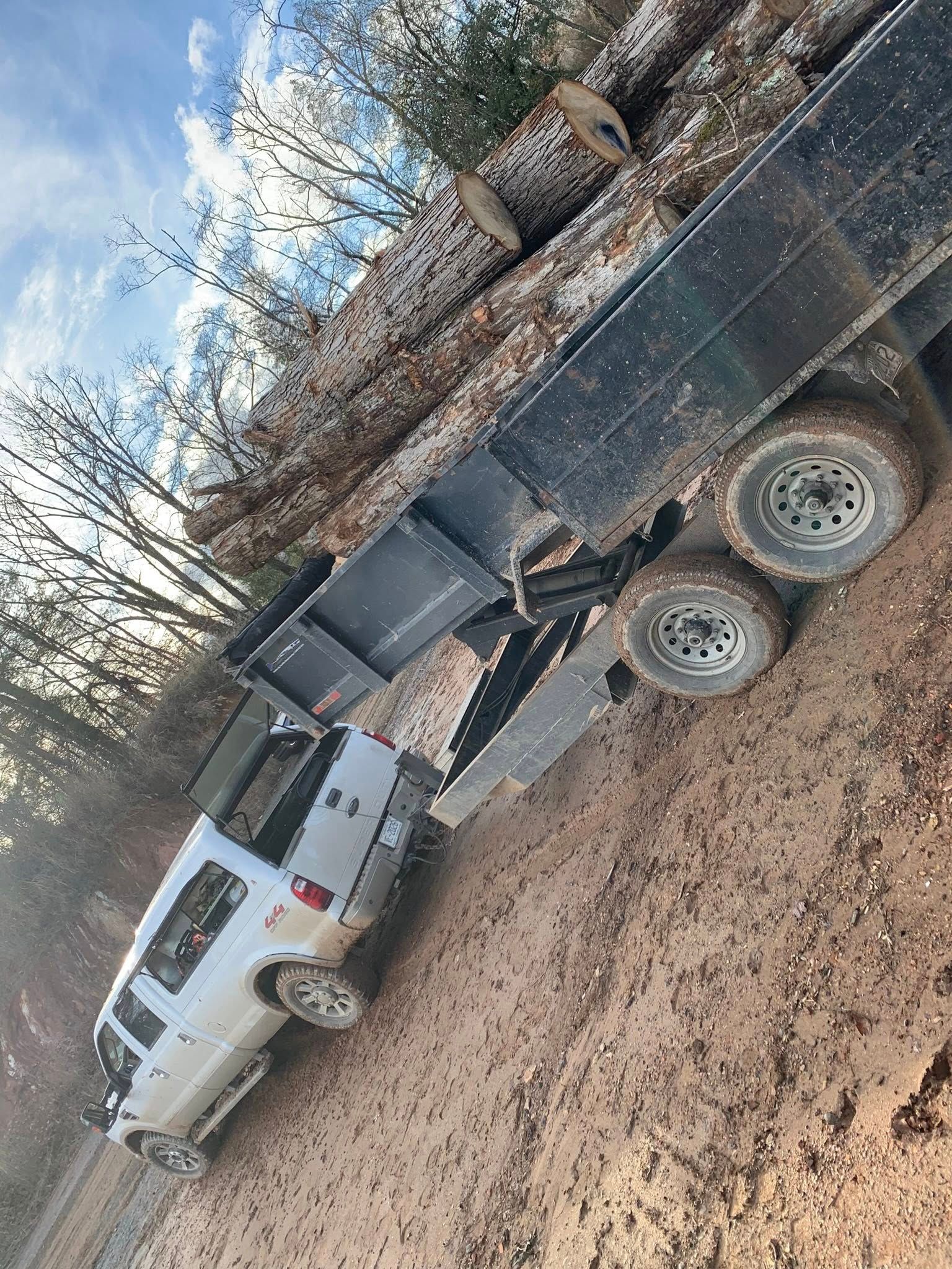 A white pickup truck towing a flatbed trailer loaded with several large logs on a dirt road in a wooded area.