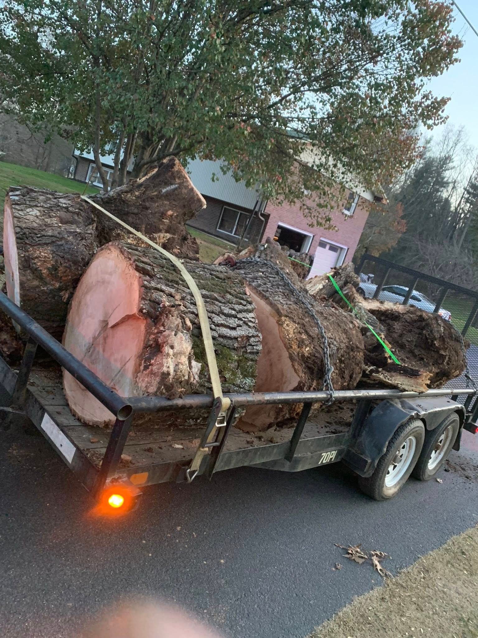 A flatbed trailer parked on an asphalt road carries three large, freshly cut tree logs secured with yellow straps.