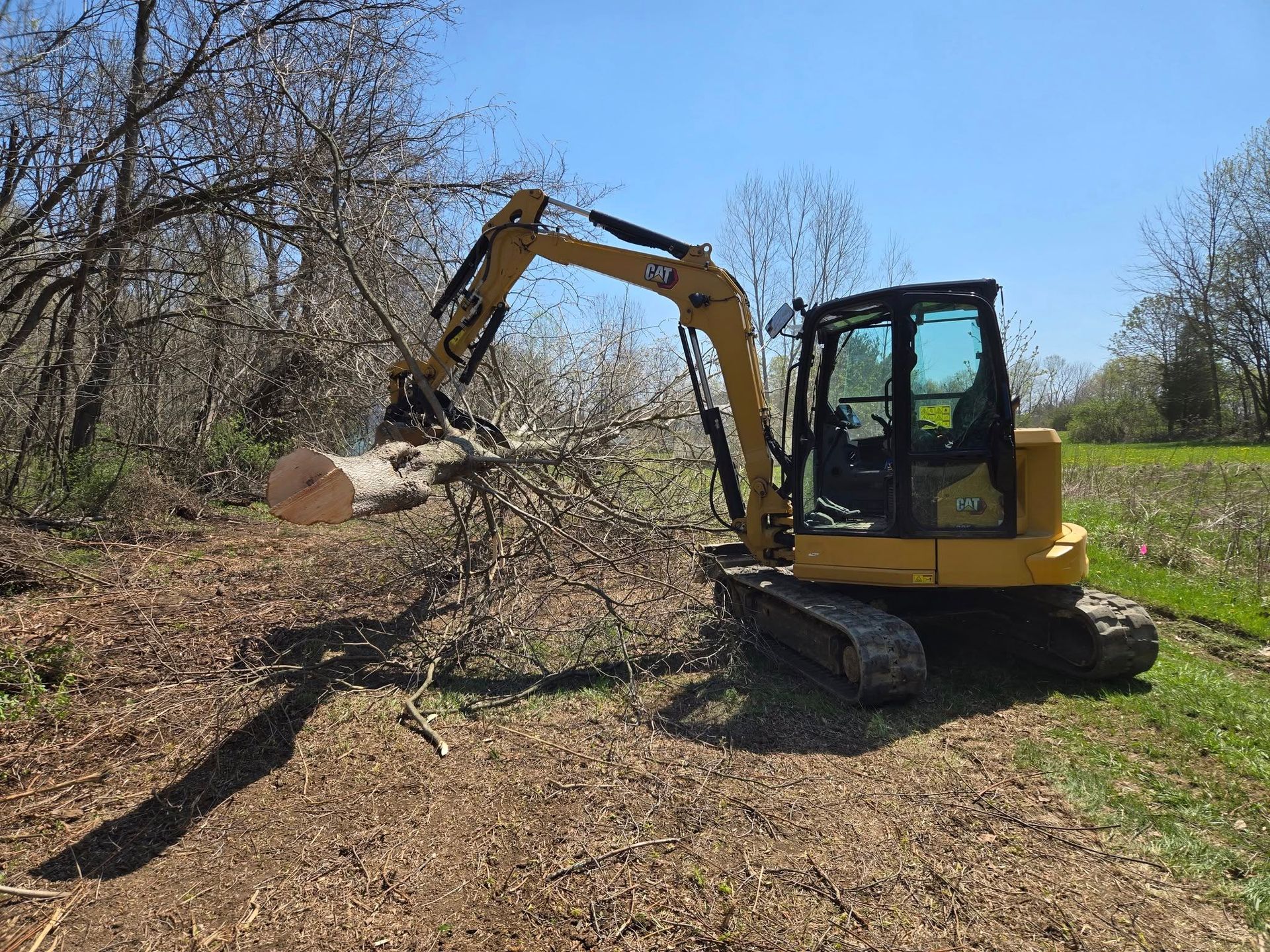 A yellow excavator is cutting down a tree in a field.