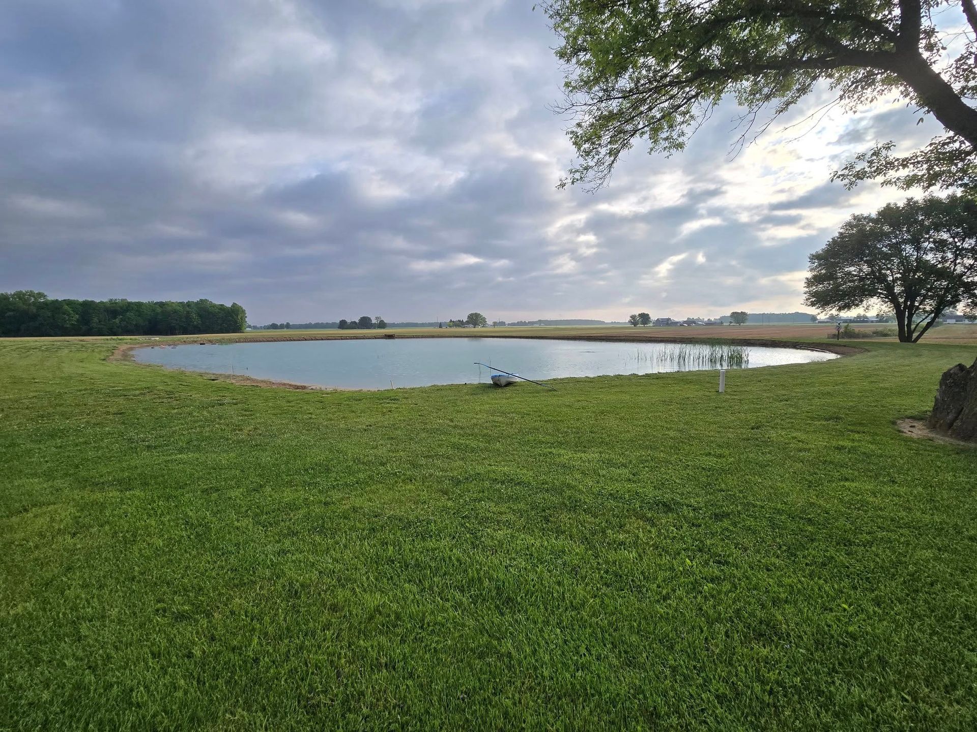 There is a pond in the middle of a grassy field.