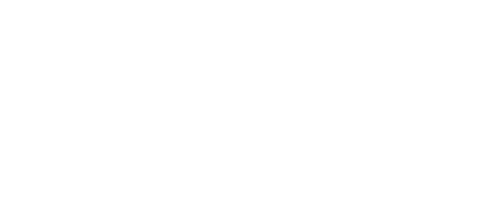 Logo Braunstein Brothers