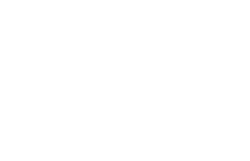Logo Braunstein Weingut