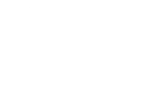 Logo Braunstein Weingut