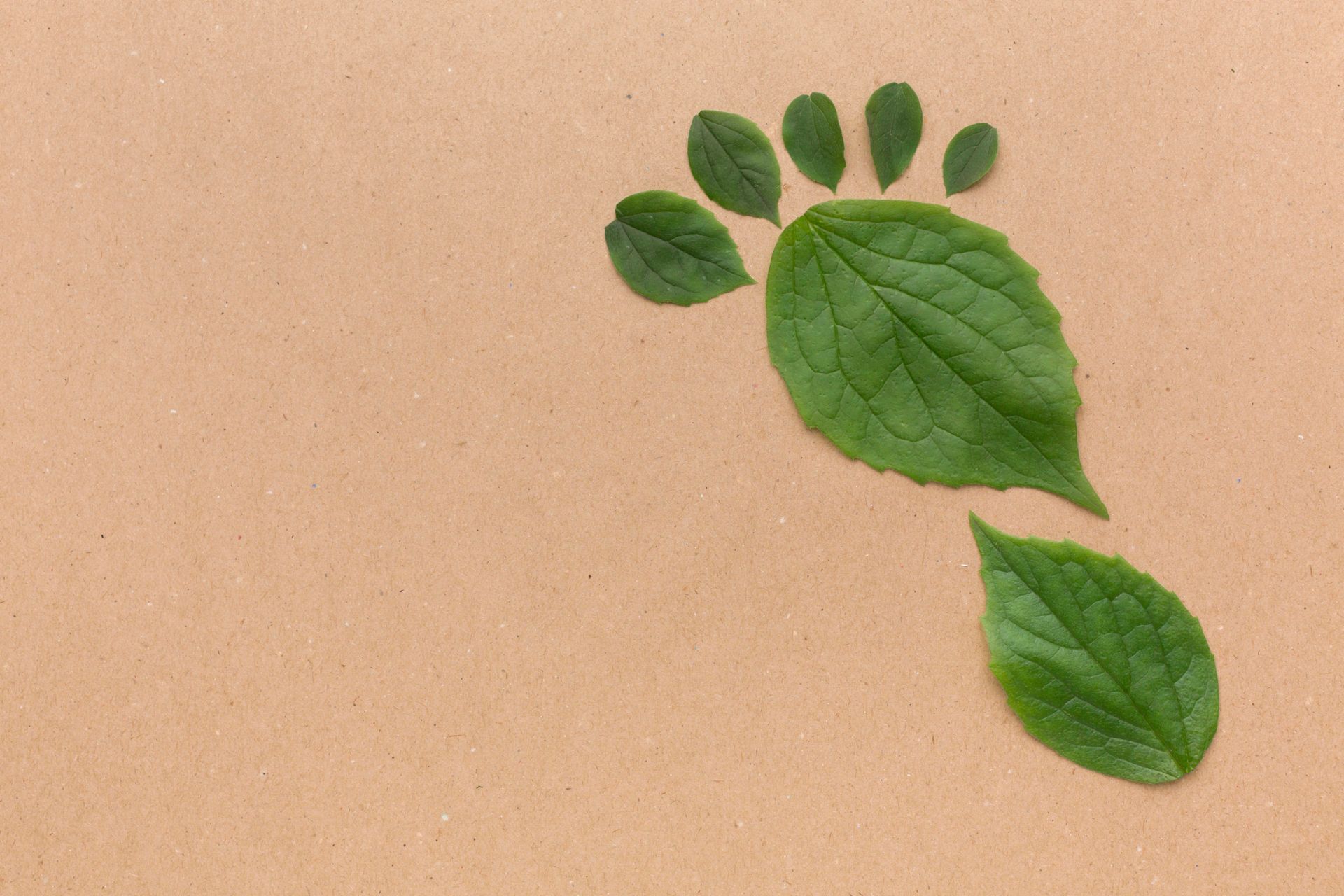 產品、服務與工程碳足跡