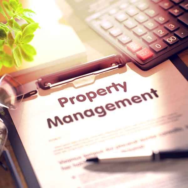 Flat & House Complex Flat & House Complex