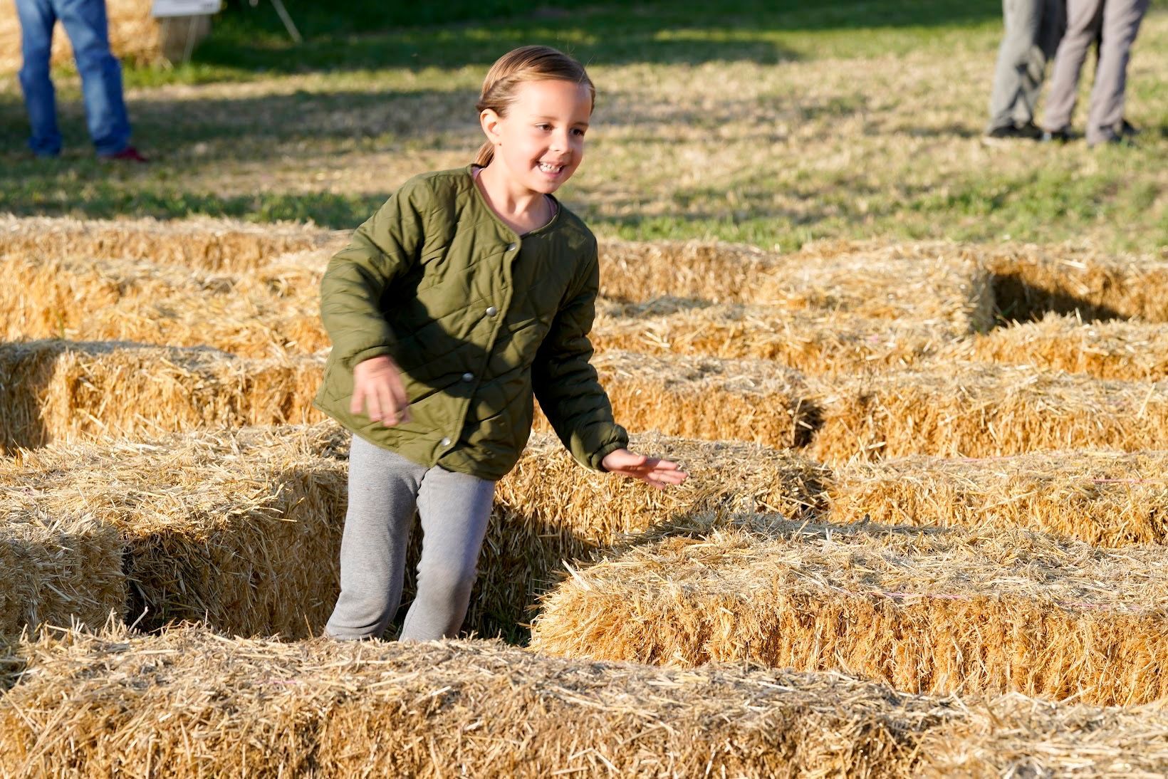 Child exploring straw maze and corn pit near me at fall farm activities Utah