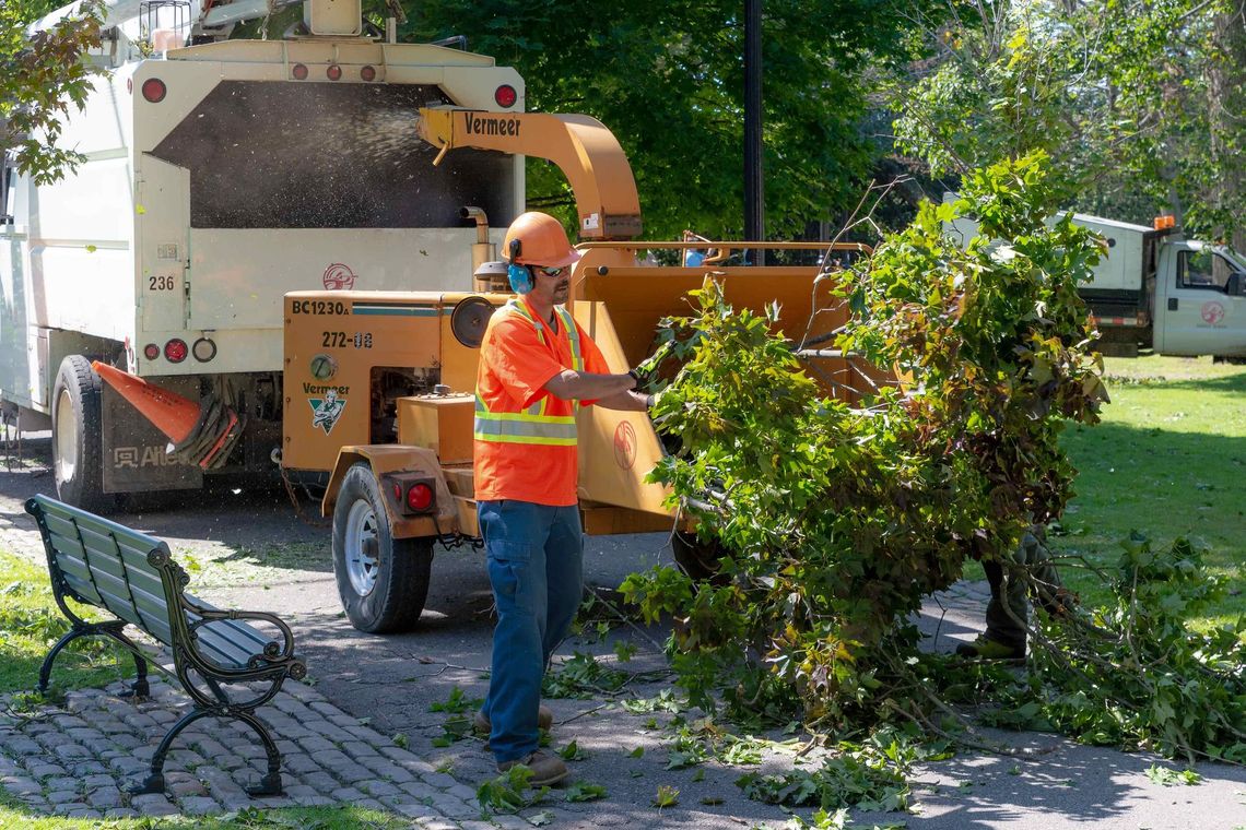 a man is standing in front of a tree chipper in a park 