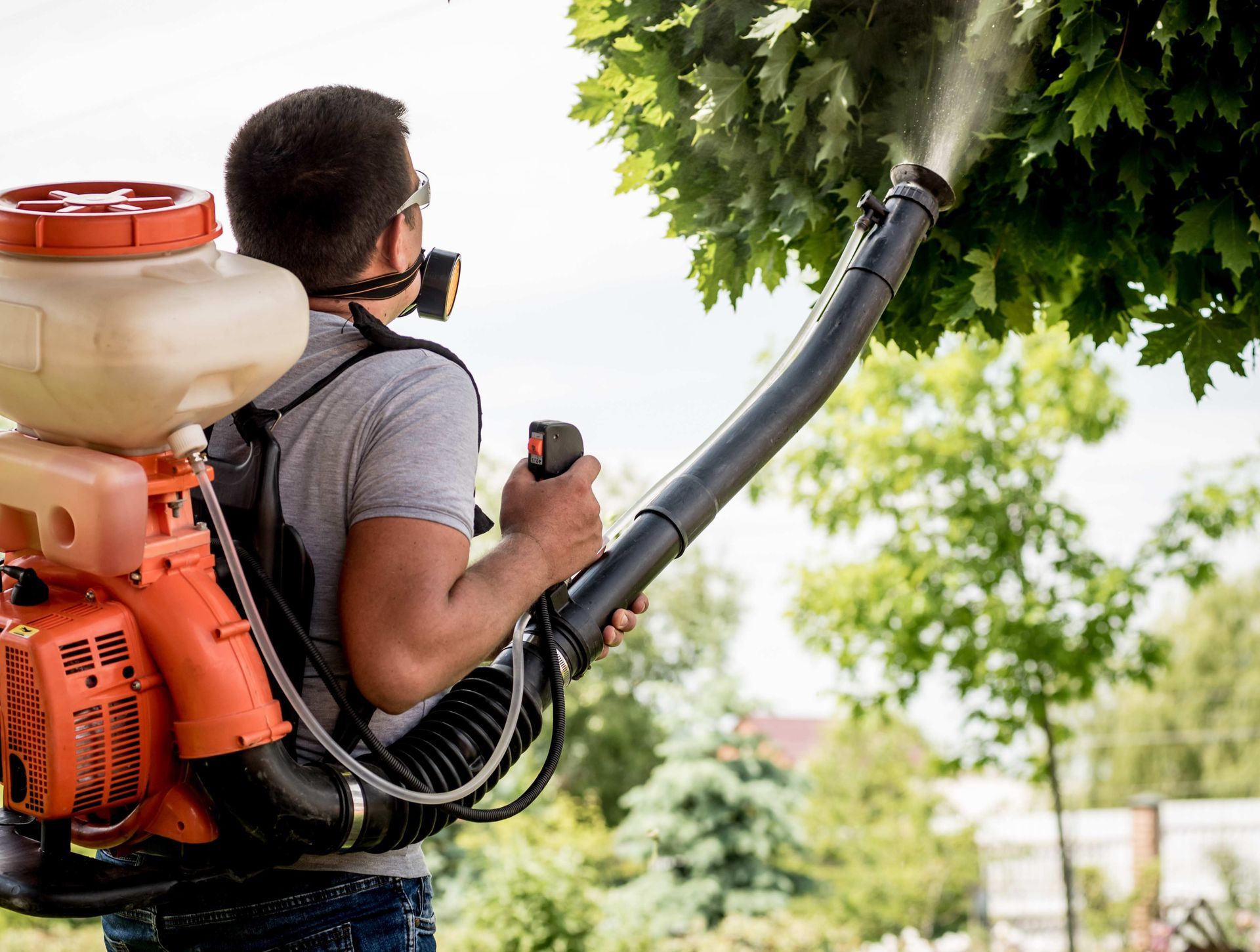 a man is spraying a tree with a backpack sprayer