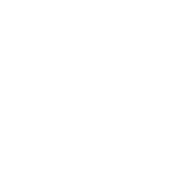 Schaefer Aviation Logo