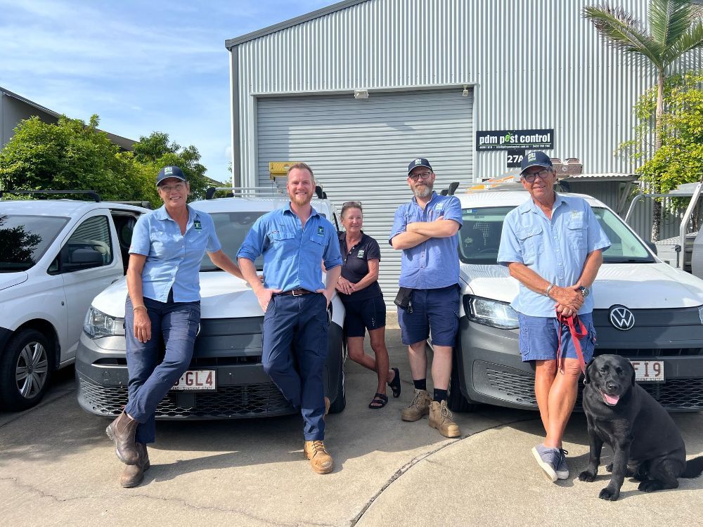 A Work Ute Is Parked On The Grass — PDM Pest Control in Craiglie, QLD