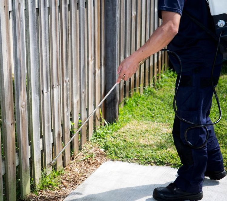 A Man is Spraying a Concrete Surface With a Hose — PDM Pest Control in Daintree, QLD