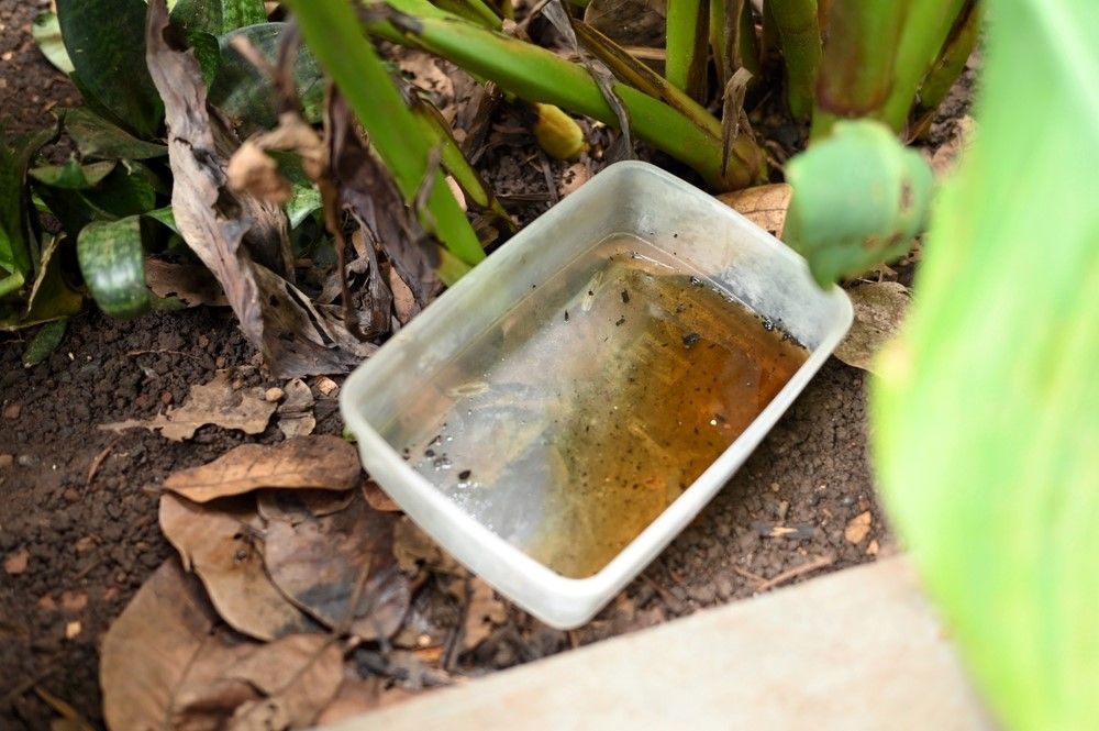 A Plastic Container Filled With Brown Liquid — PDM Pest Control in Craiglie, QLD