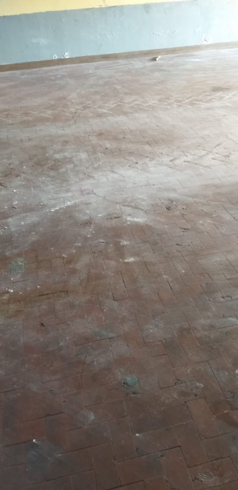 lucidatura pavimenti melfi, pulizie industriali melfi, pulizia case melfi, pulizia mense melfi, pulizia uffici melfi, sanificazione abitazioni melfi, sanificazione uffici melfi, pulizia studi medici melfi, disinfestazione melfi, taglio erba melfi, derattizzazione melfi