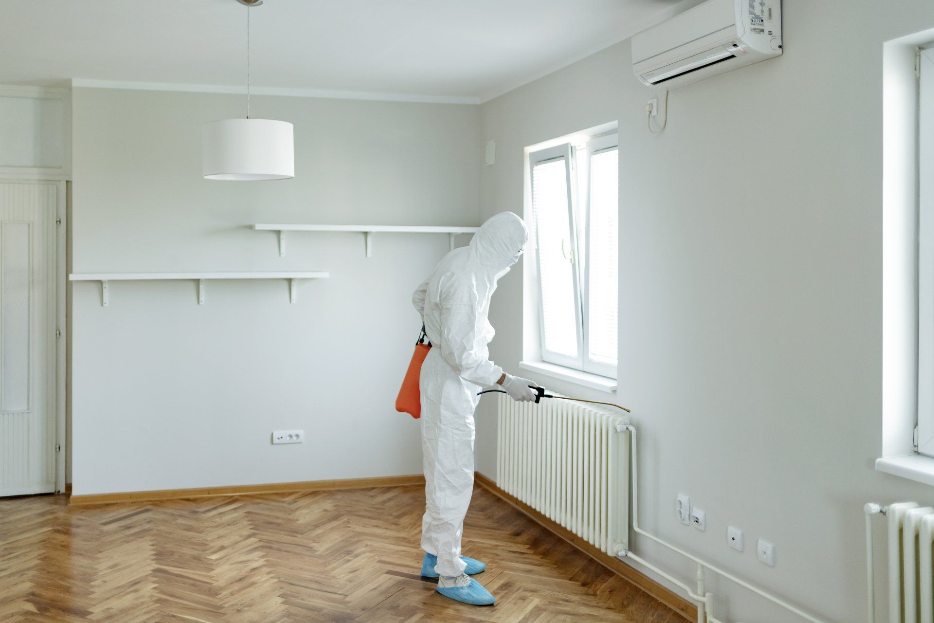 lucidatura pavimenti melfi, pulizie industriali melfi, pulizia case melfi, pulizia mense melfi, pulizia uffici melfi, sanificazione abitazioni melfi, sanificazione uffici melfi, pulizia studi medici melfi, disinfestazione melfi, taglio erba melfi, derattizzazione melfi