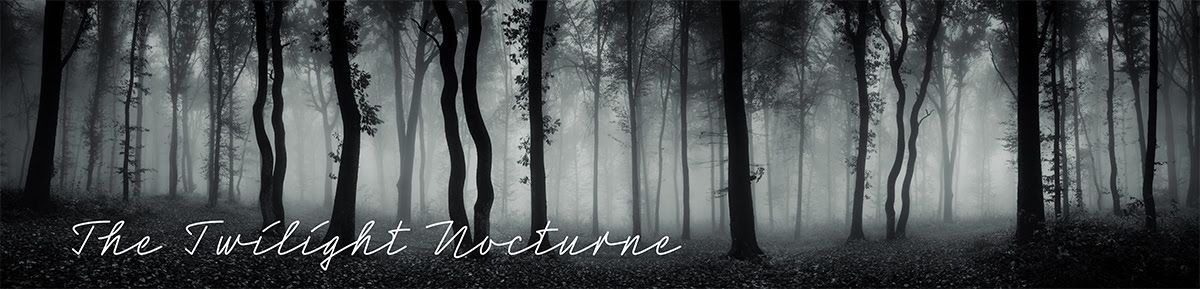 Mood Board: Twilight Nocturne