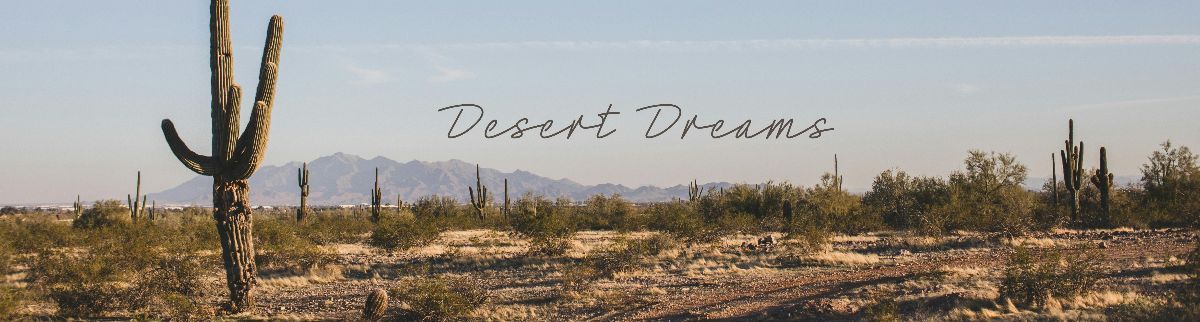 Mood Board: Desert Dreams Unlocked