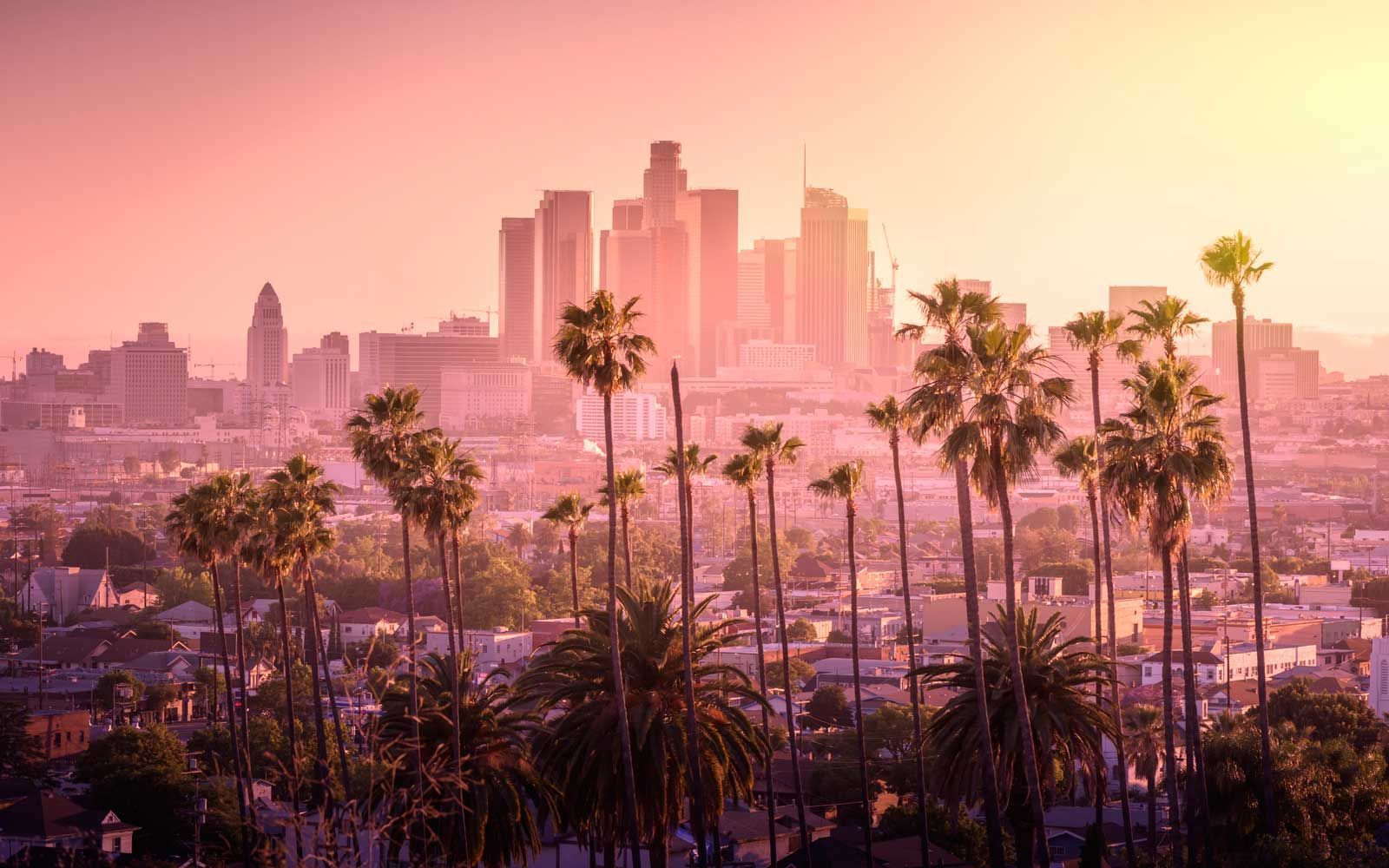 A view of a city skyline at sunset with palm trees in the foreground.