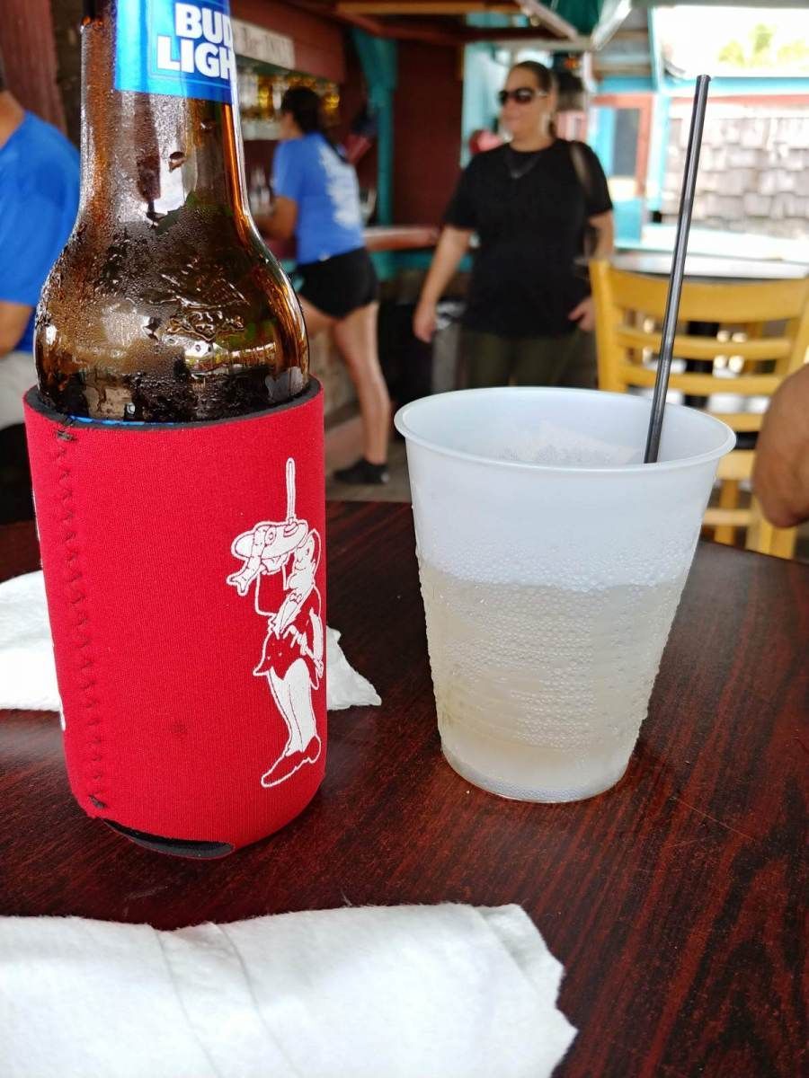 A bottle of bud light sits on a table next to a plastic cup