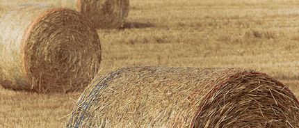 Three bales of hay are sitting in a field.
