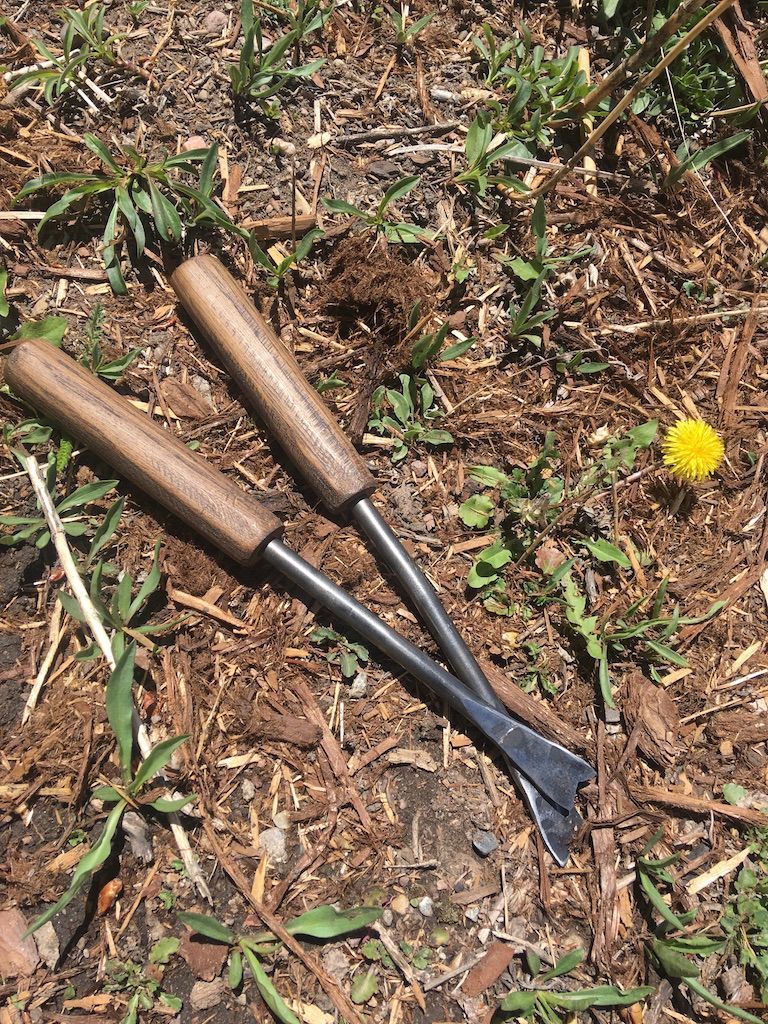 A pair of gardening tools with wooden handles are sitting on the ground.