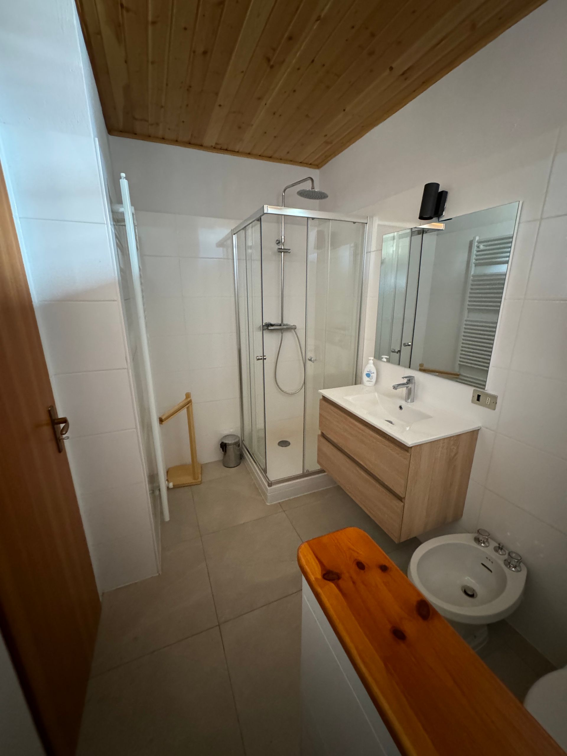 The shower in the downstairs bathroom