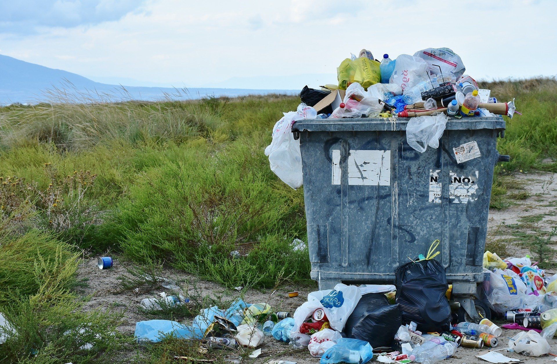Bote de basura desbordado en área natural América Latina