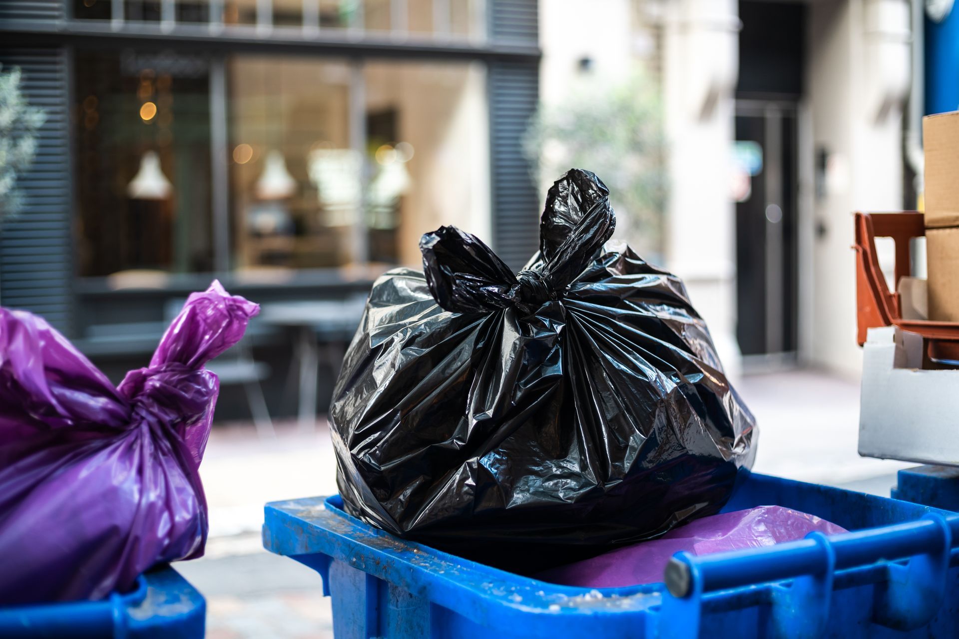 Impacto de la gestión de la basura en la salud