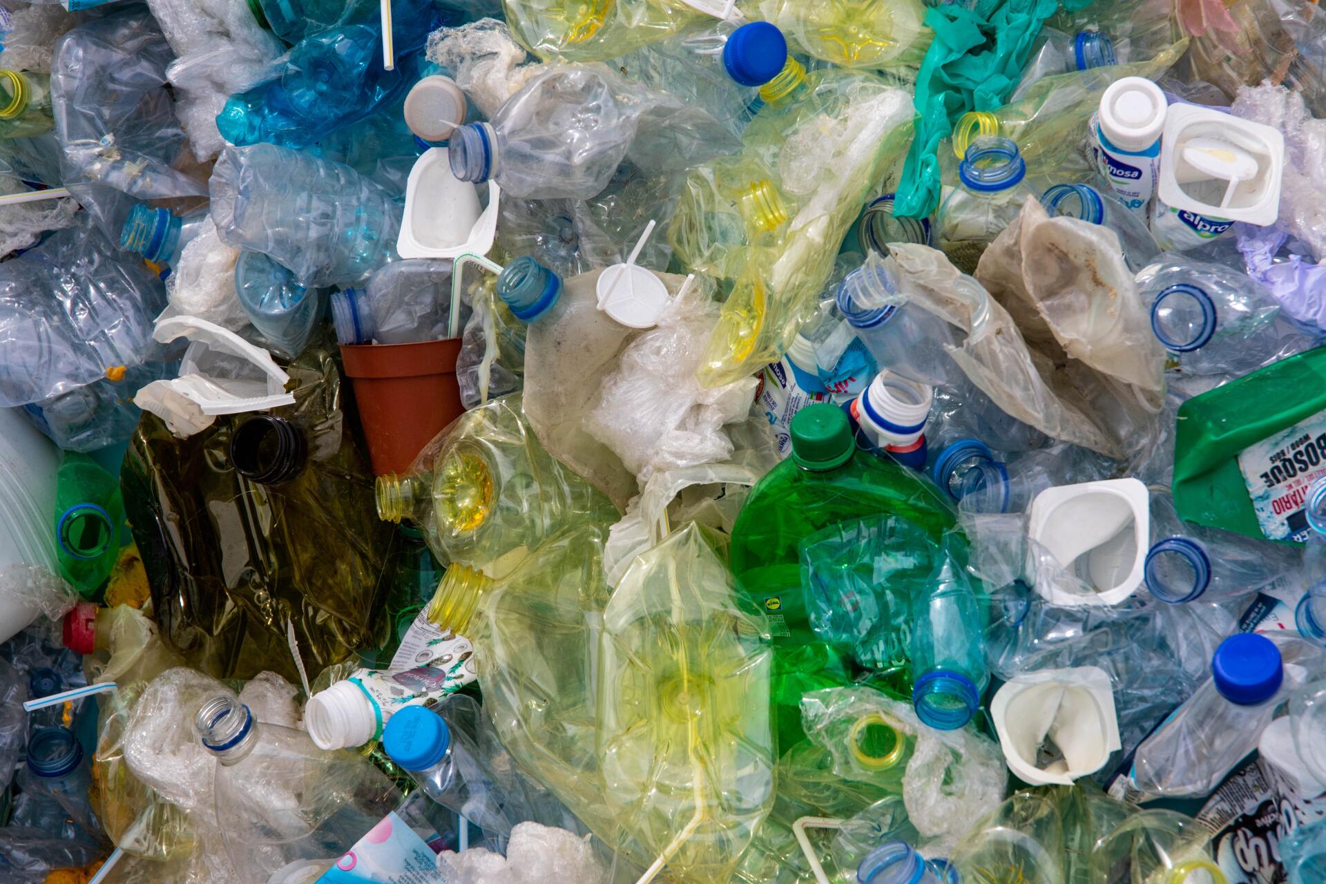 botellas de plástico recolectadas para mandar a reciclar
