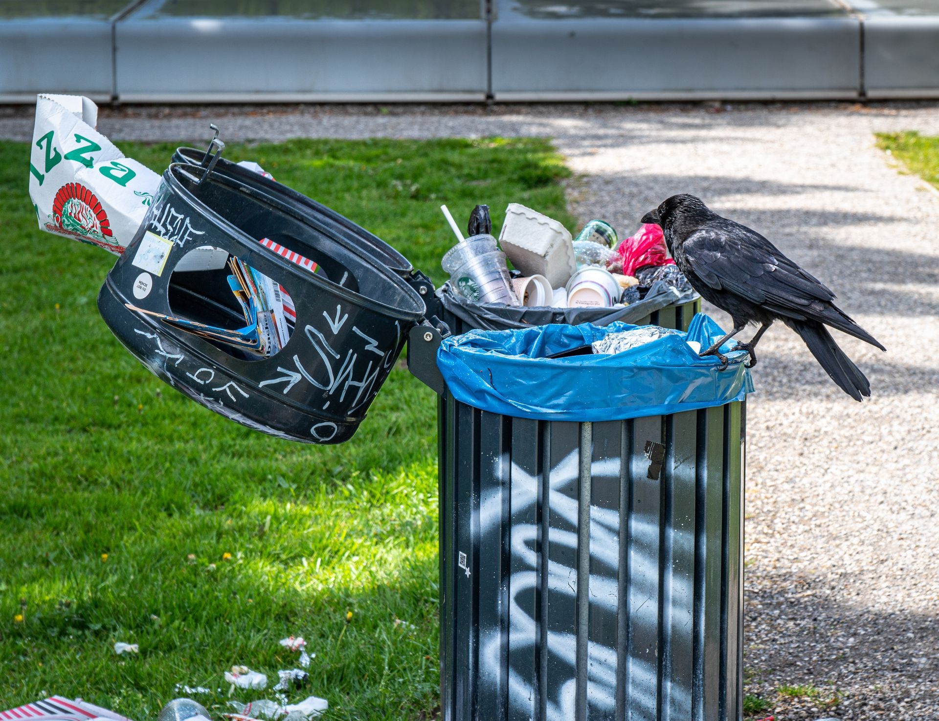 gestión de basura en un parque de la ciudad