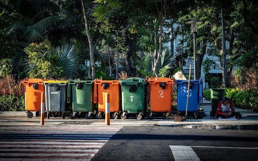 daño a los animales por basura