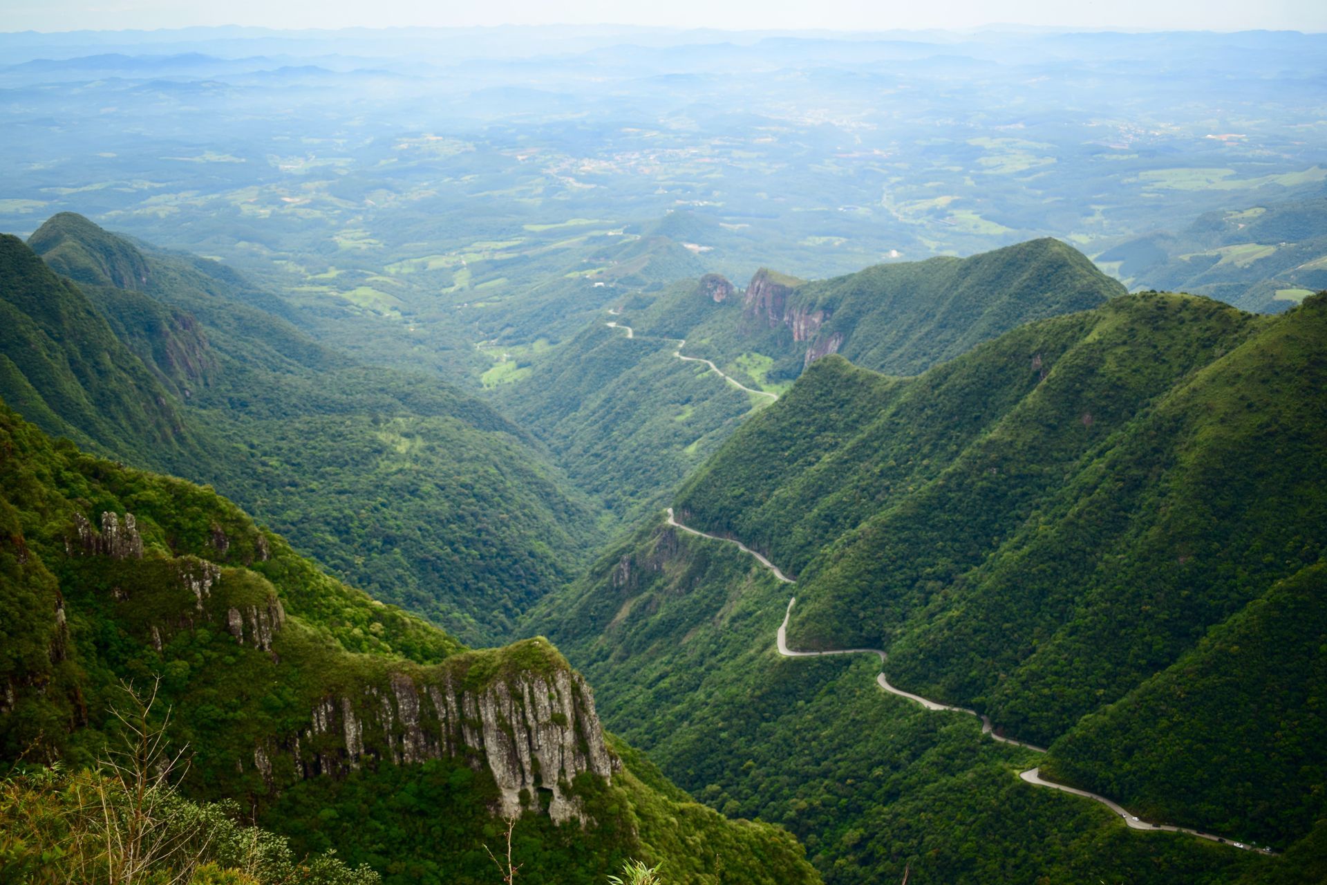 Zona protegida para cuidado ambiental en las selvas de Brasil