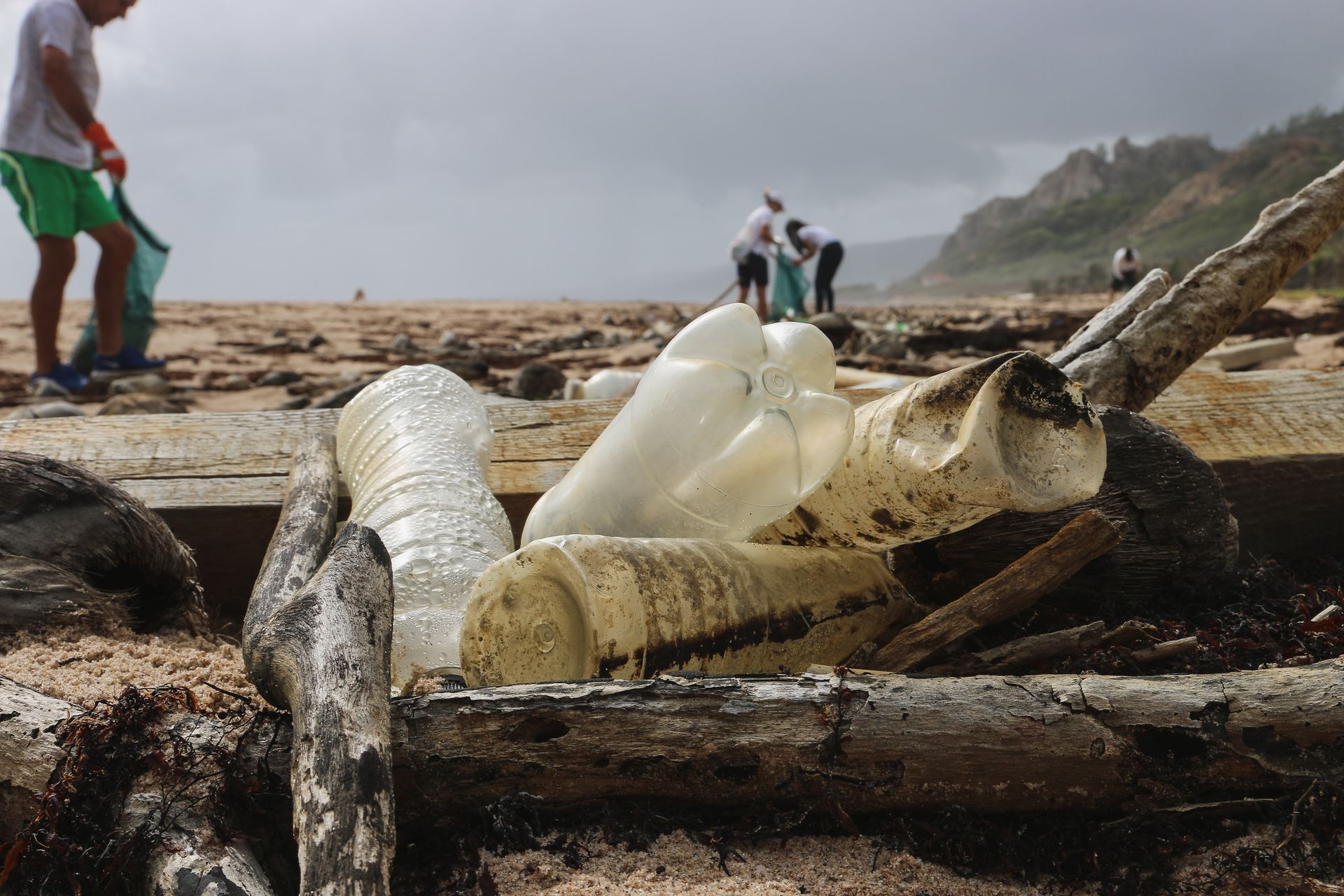 hombres promoviendo la limpieza y cuidado del medio ambiente en la playa