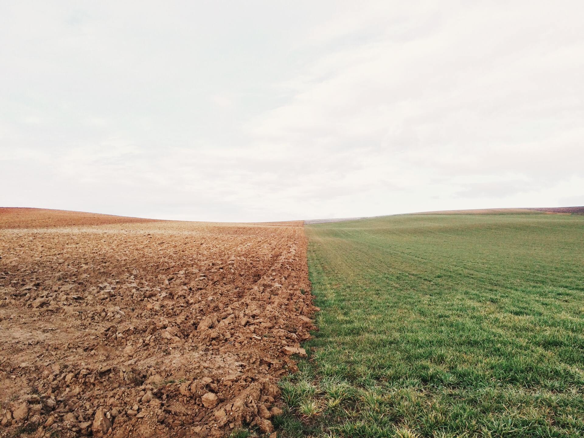 consecuencias del calentamiento global: comparación entre un prado fértil  y uno muerto