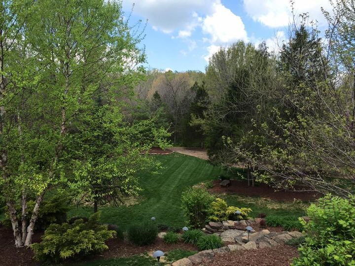 A lush green garden with trees and bushes surrounding it