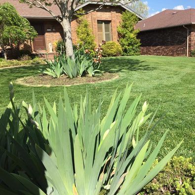 A lush green lawn with a brick house in the background