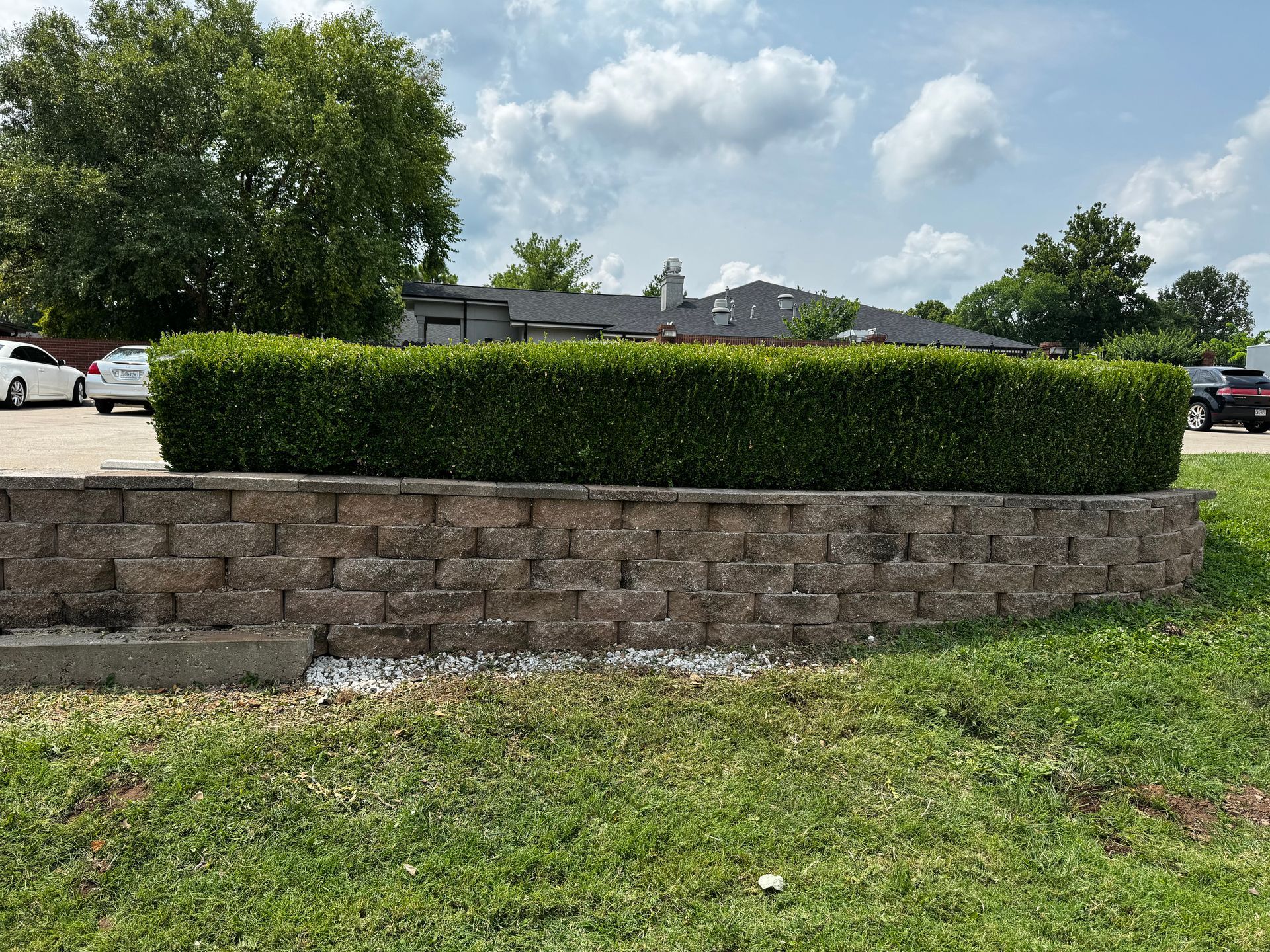 A brick wall with a bush in front of it