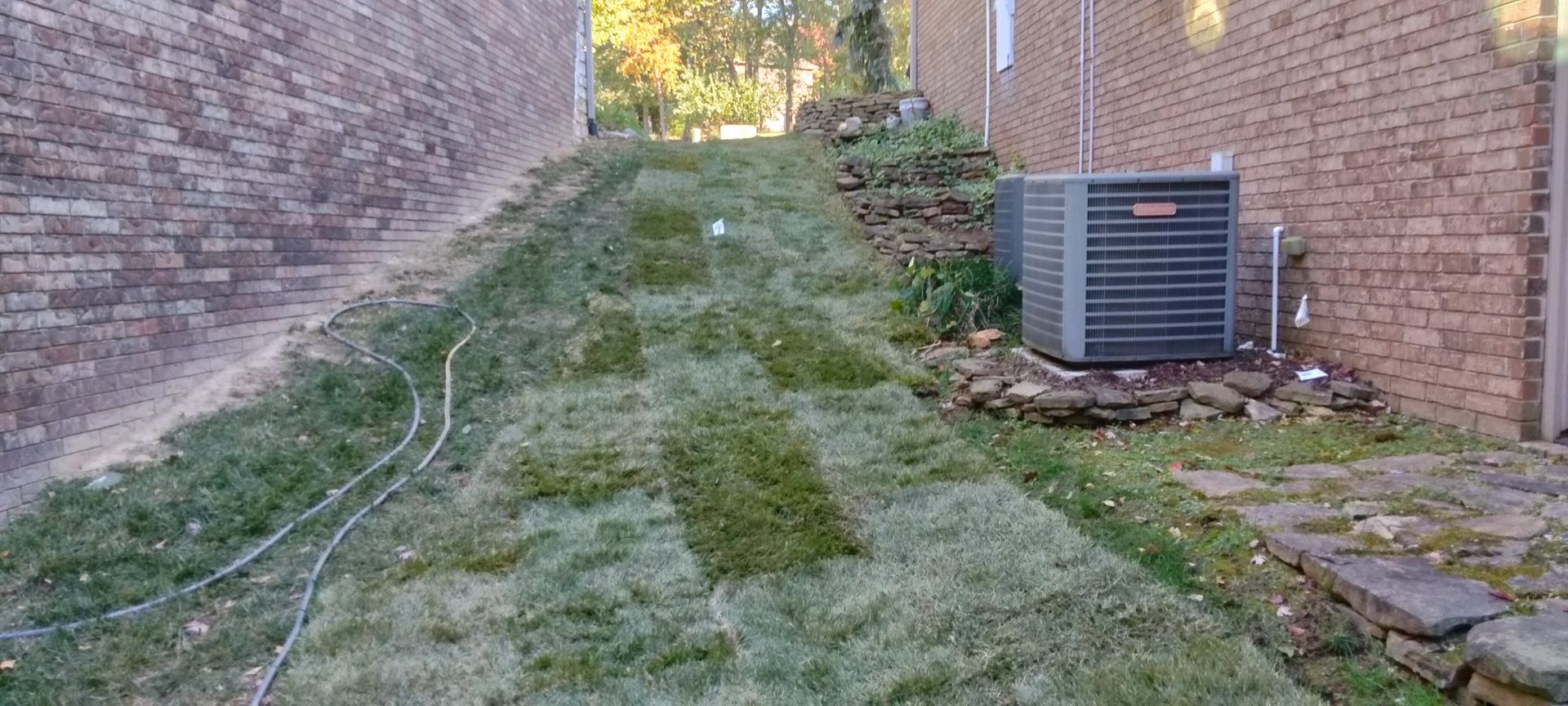 A backyard with a brick wall and a lawn mower.