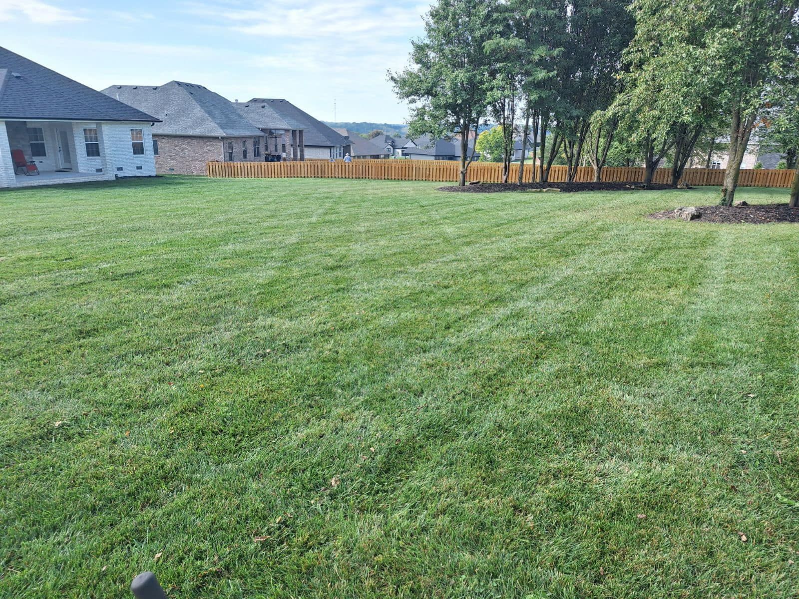 A lush green lawn with a house in the background