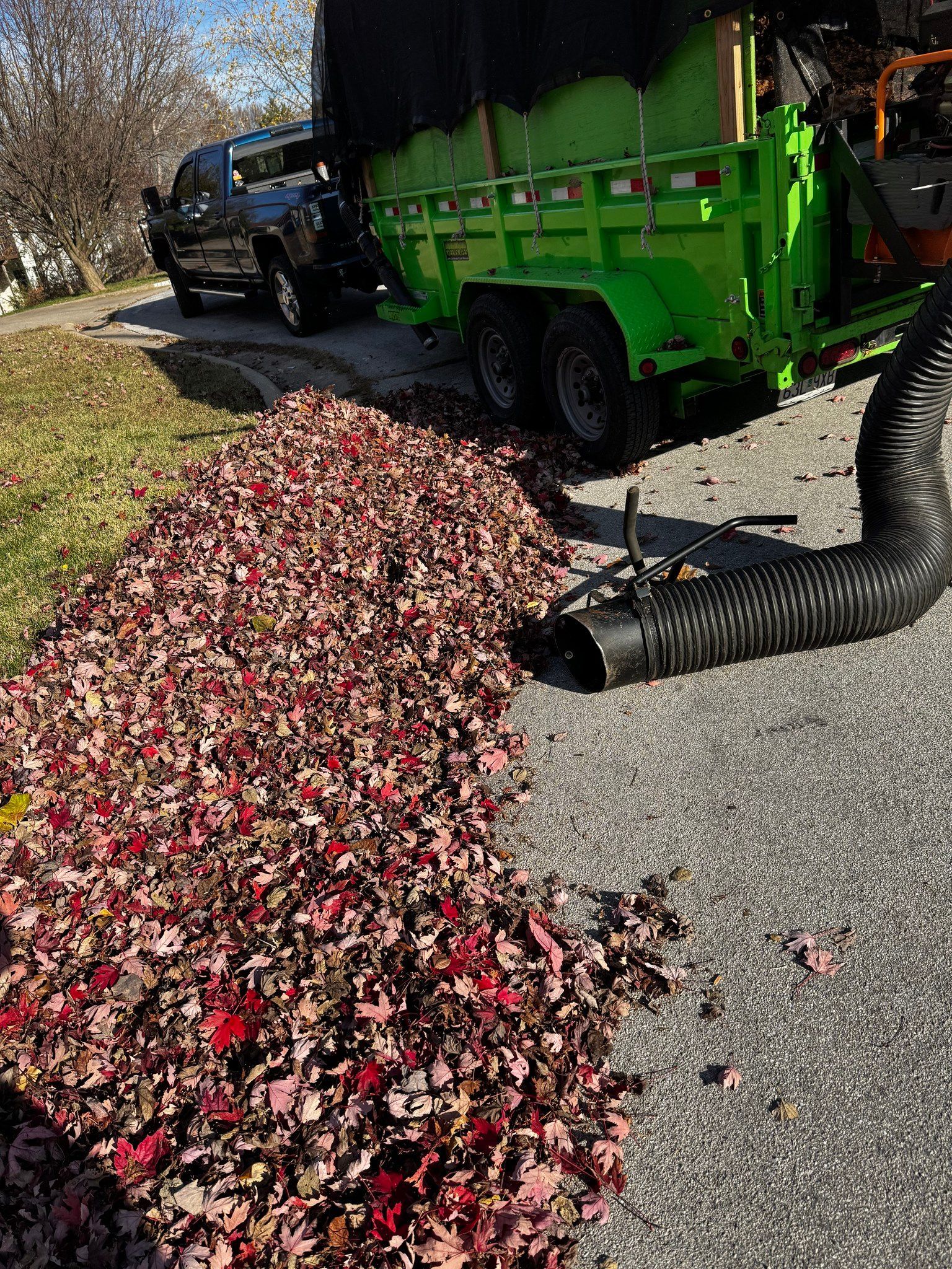 A green trailer with a hose attached to it is filled with leaves.