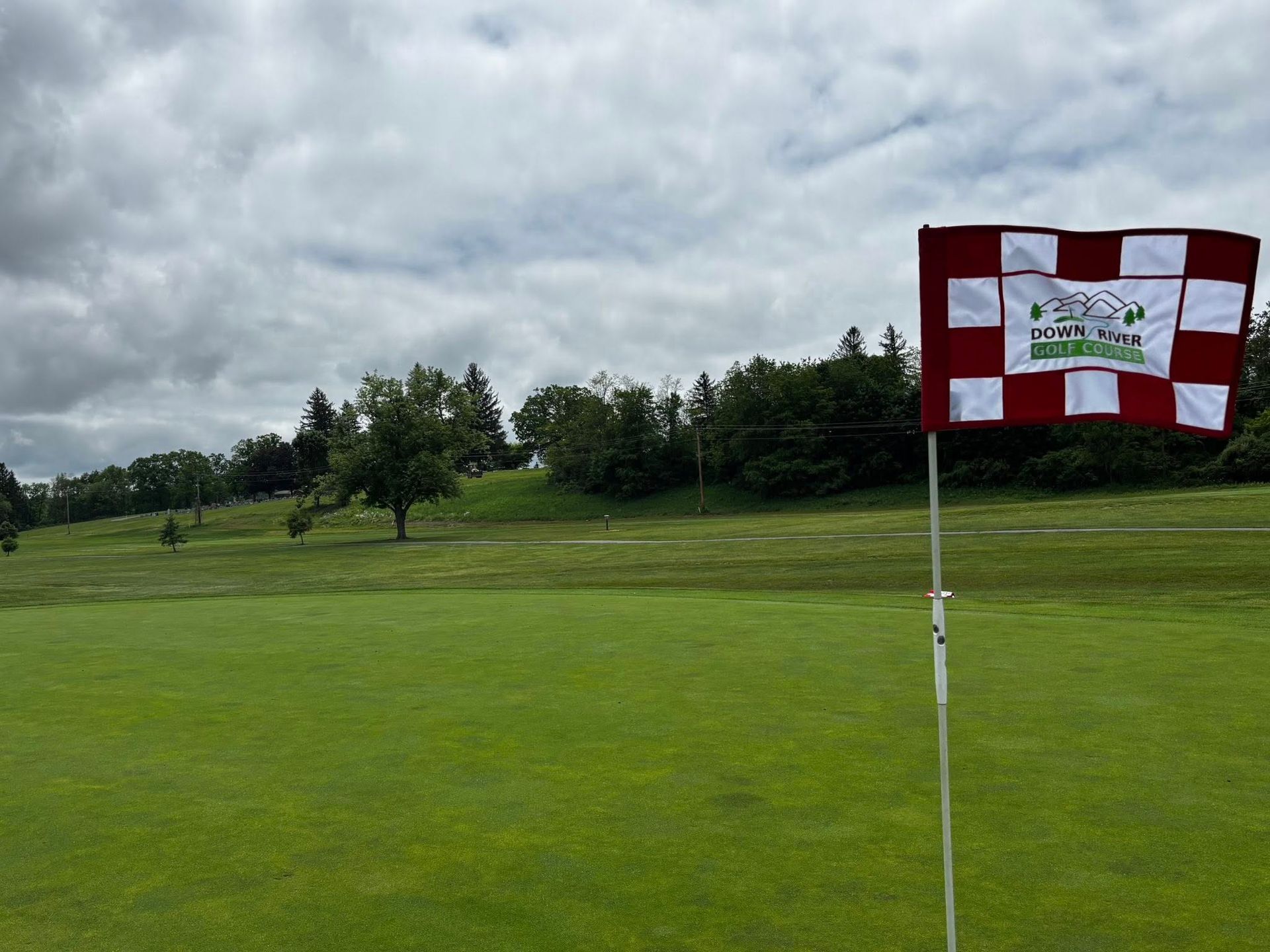 A golf course green with a flag marked with a checkerboard pattern and a logo, under a cloudy sky.
