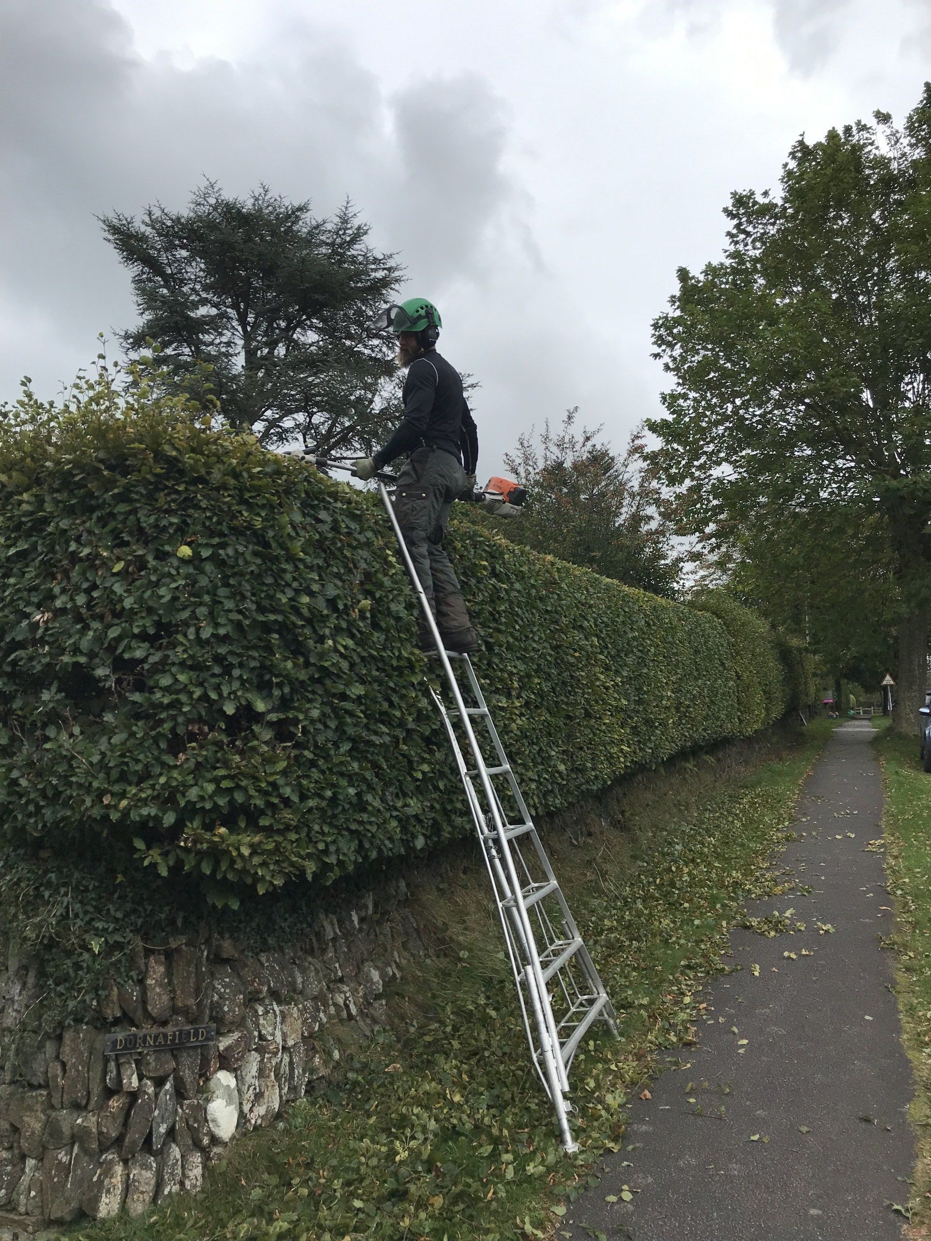 Hedge cutting