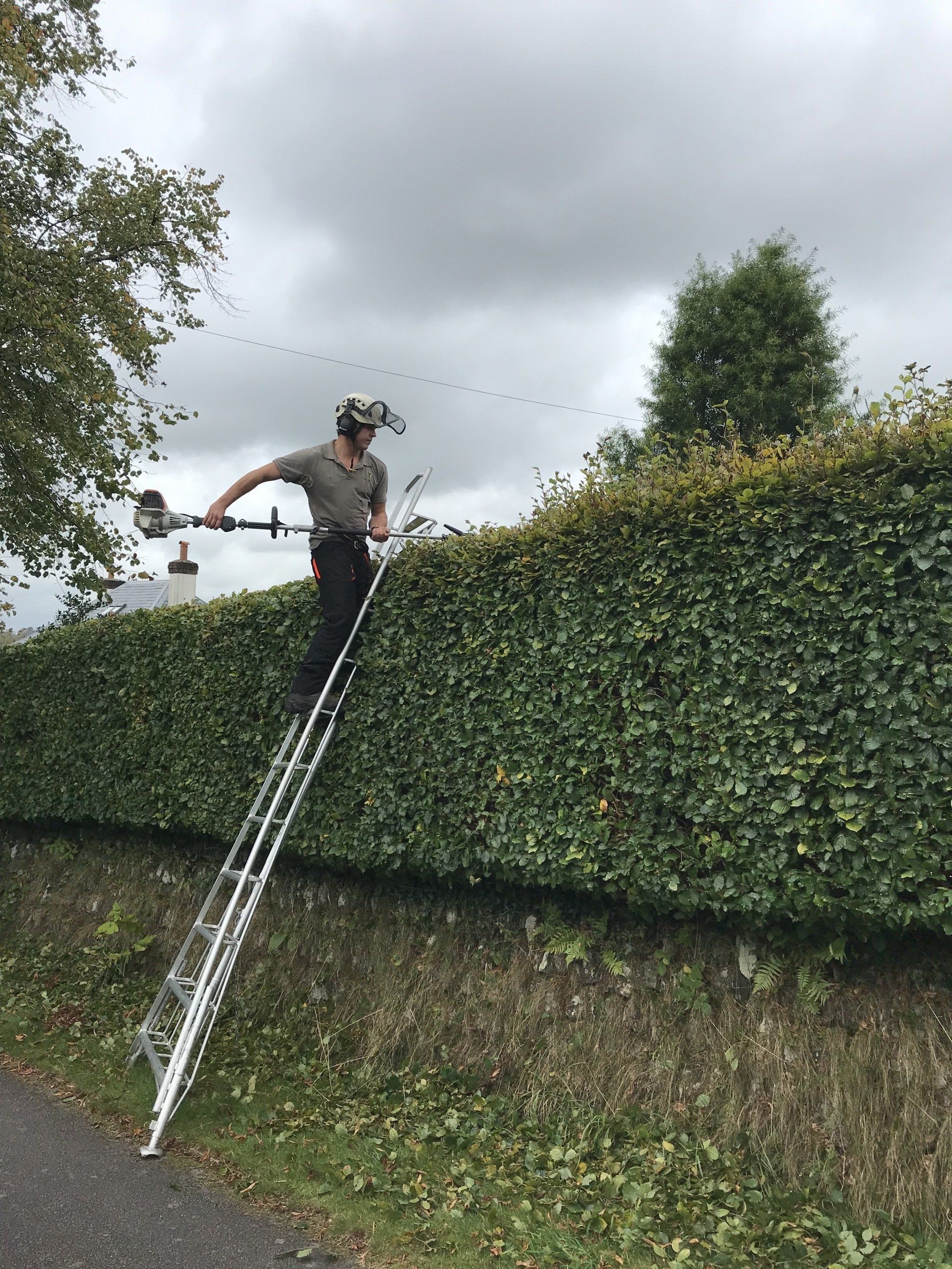 Countrywise Tree Care 2