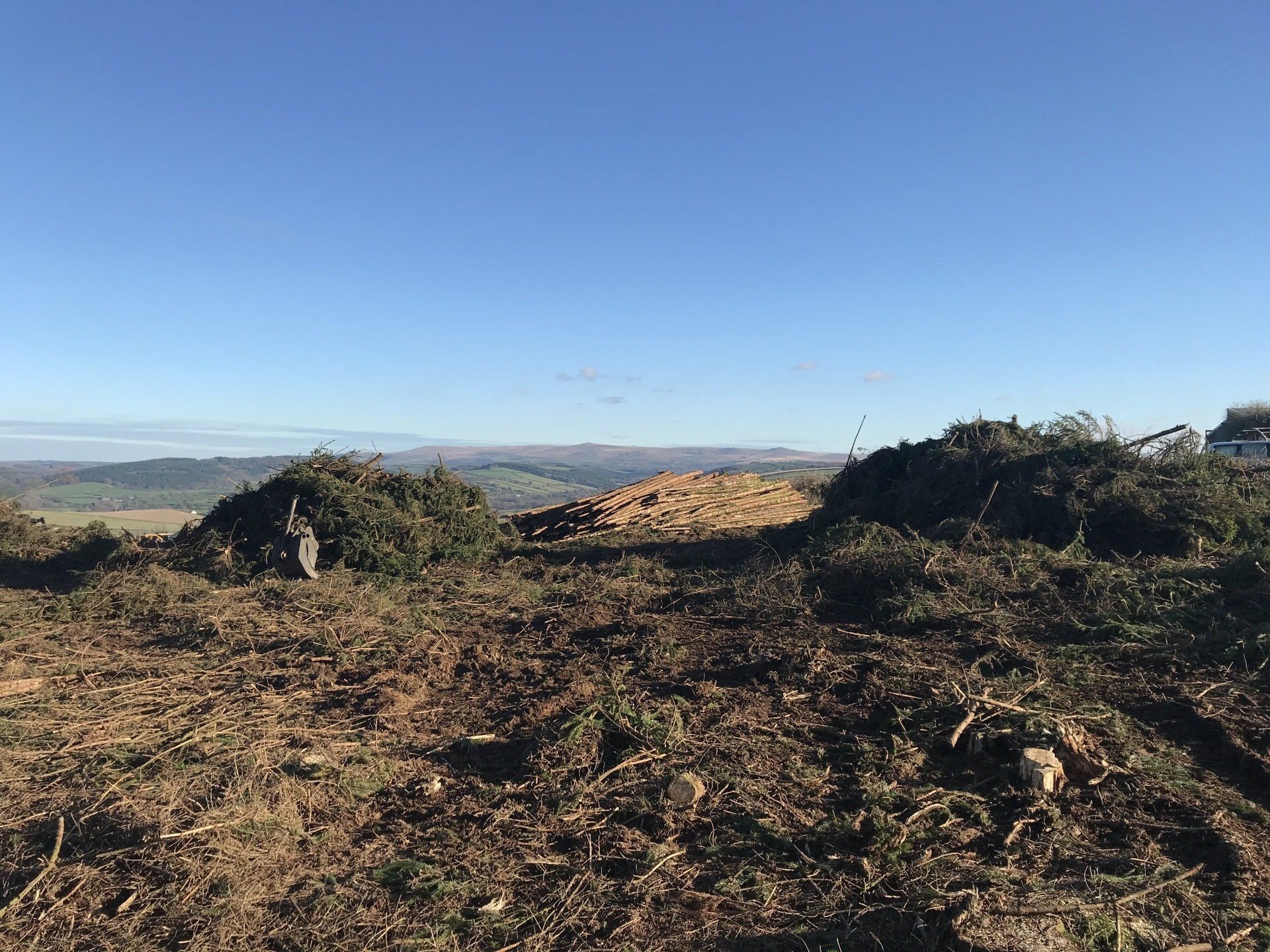 Countrywise Tree Care 3