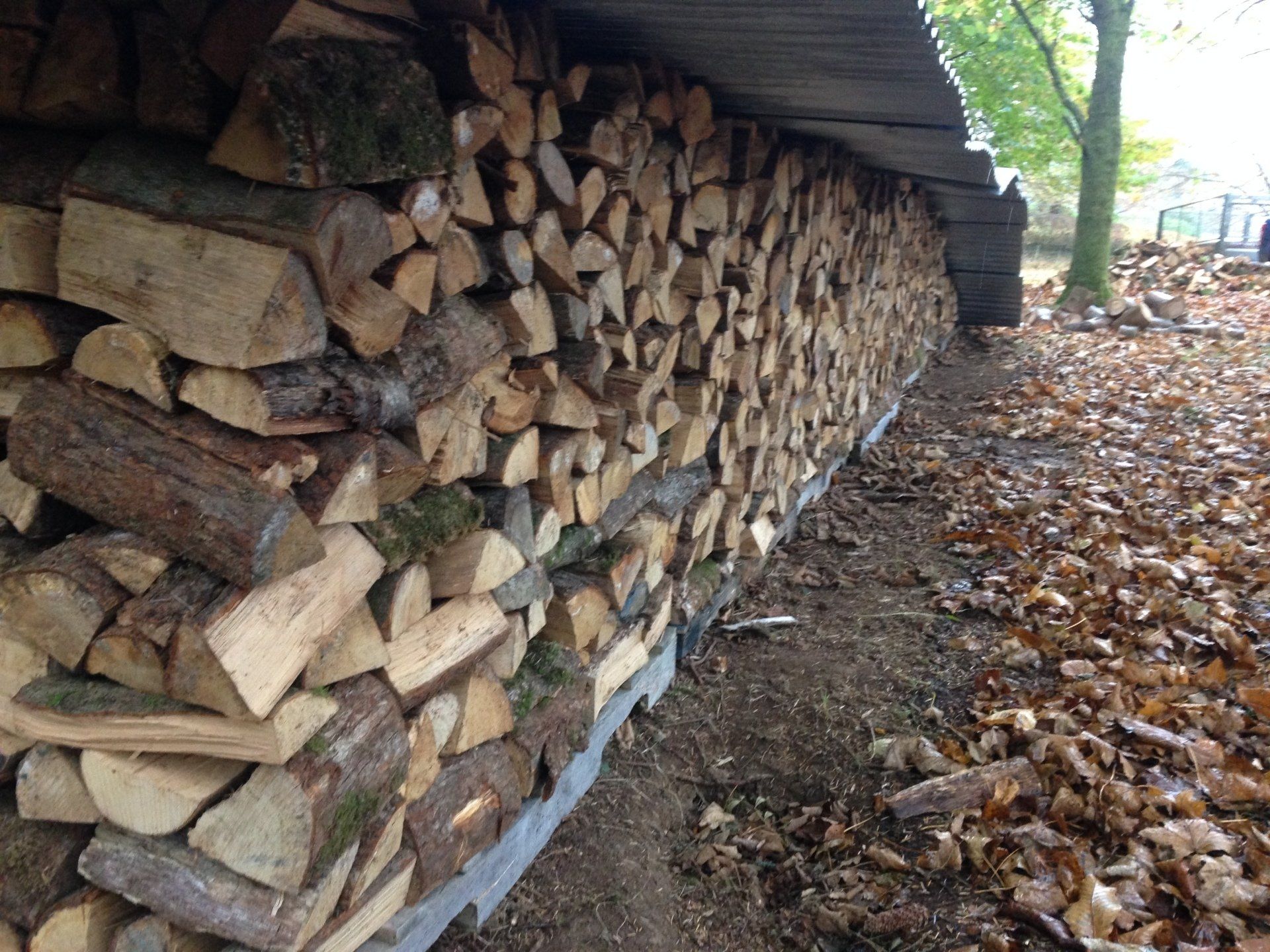 Countrywise Tree Care 1